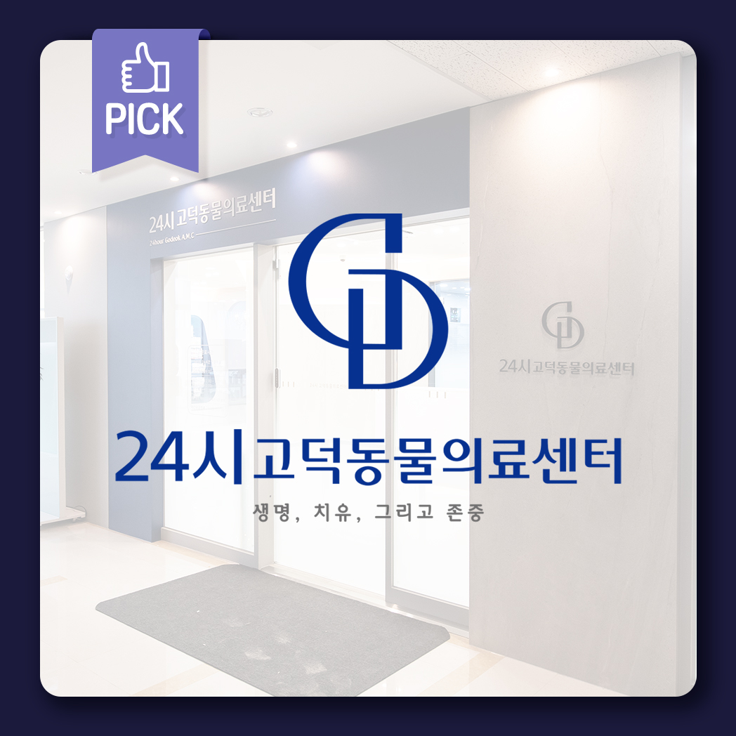 24시고덕동물의료센터