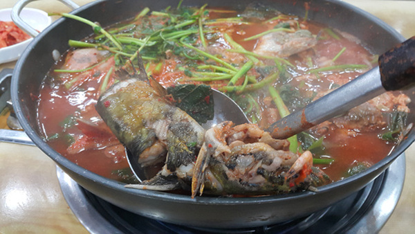 늘푸른민물공원