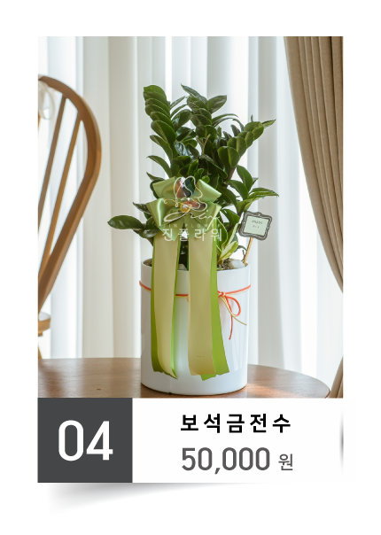 진플라워
