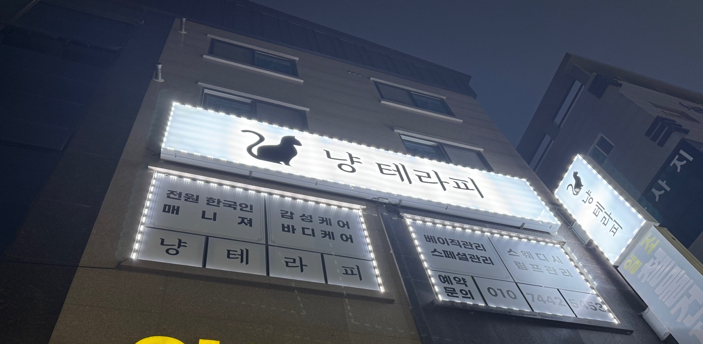 냥테라피 photo 6