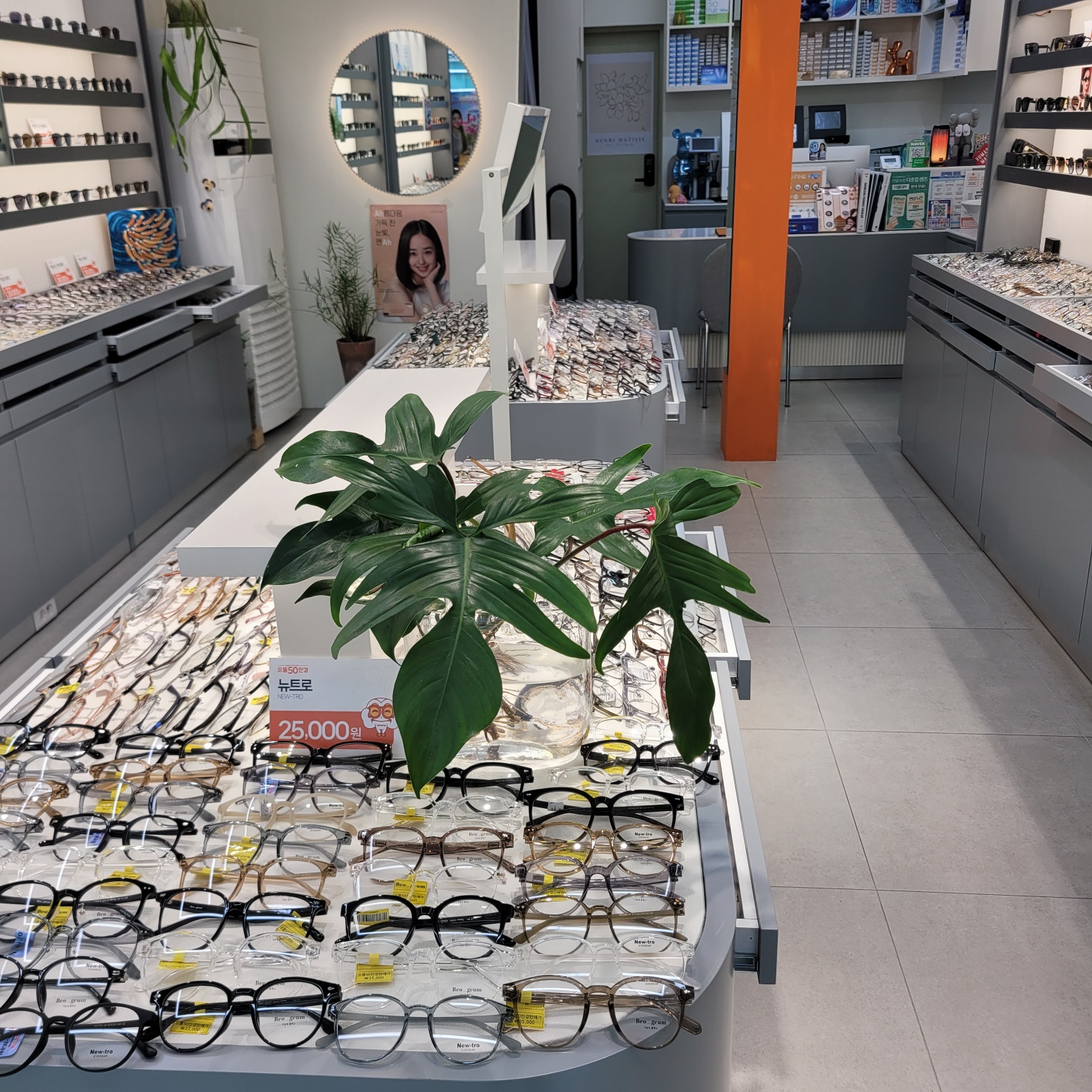 으뜸50안경 포항이동점 대표 이미지