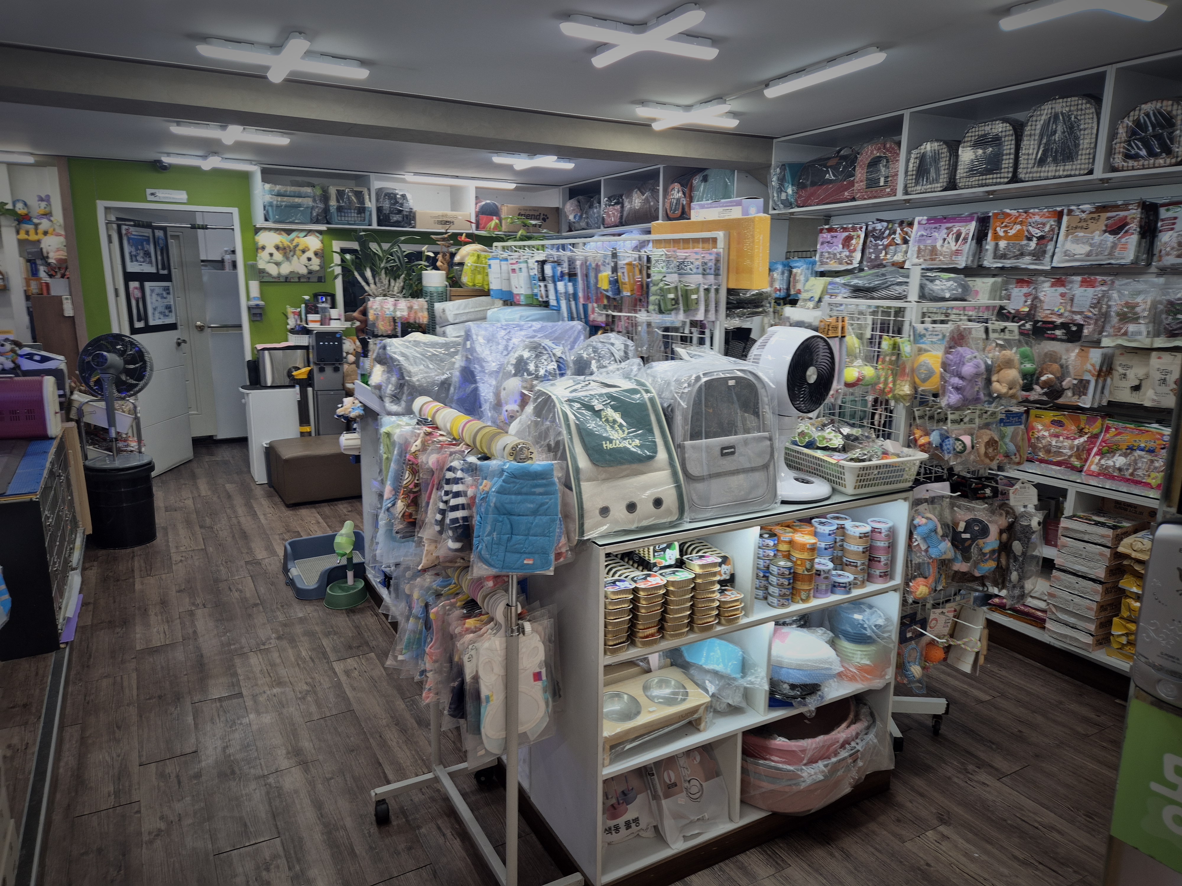 몽몽이애견미용 대표 이미지