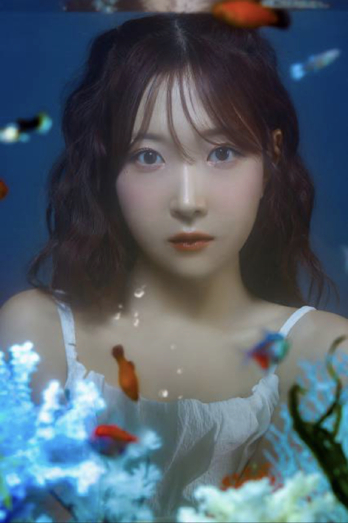 넌트스튜디오