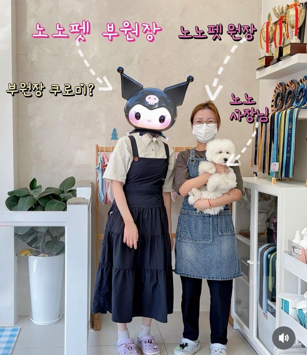 노노펫 애견미용