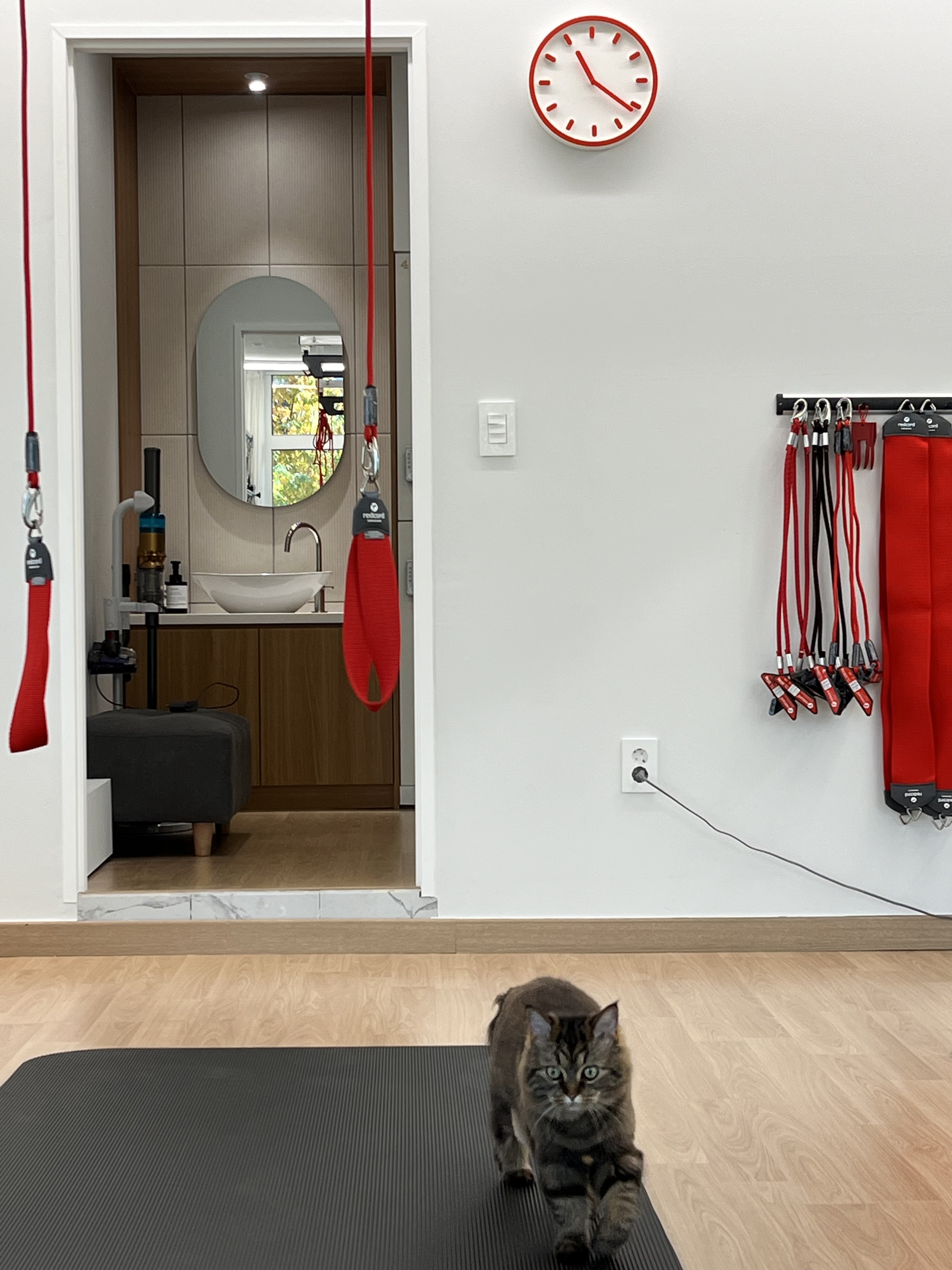 바디마인드필라테스 대표 이미지