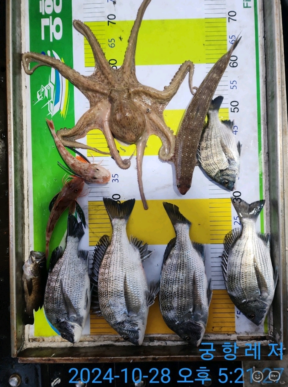 궁항레저선외기