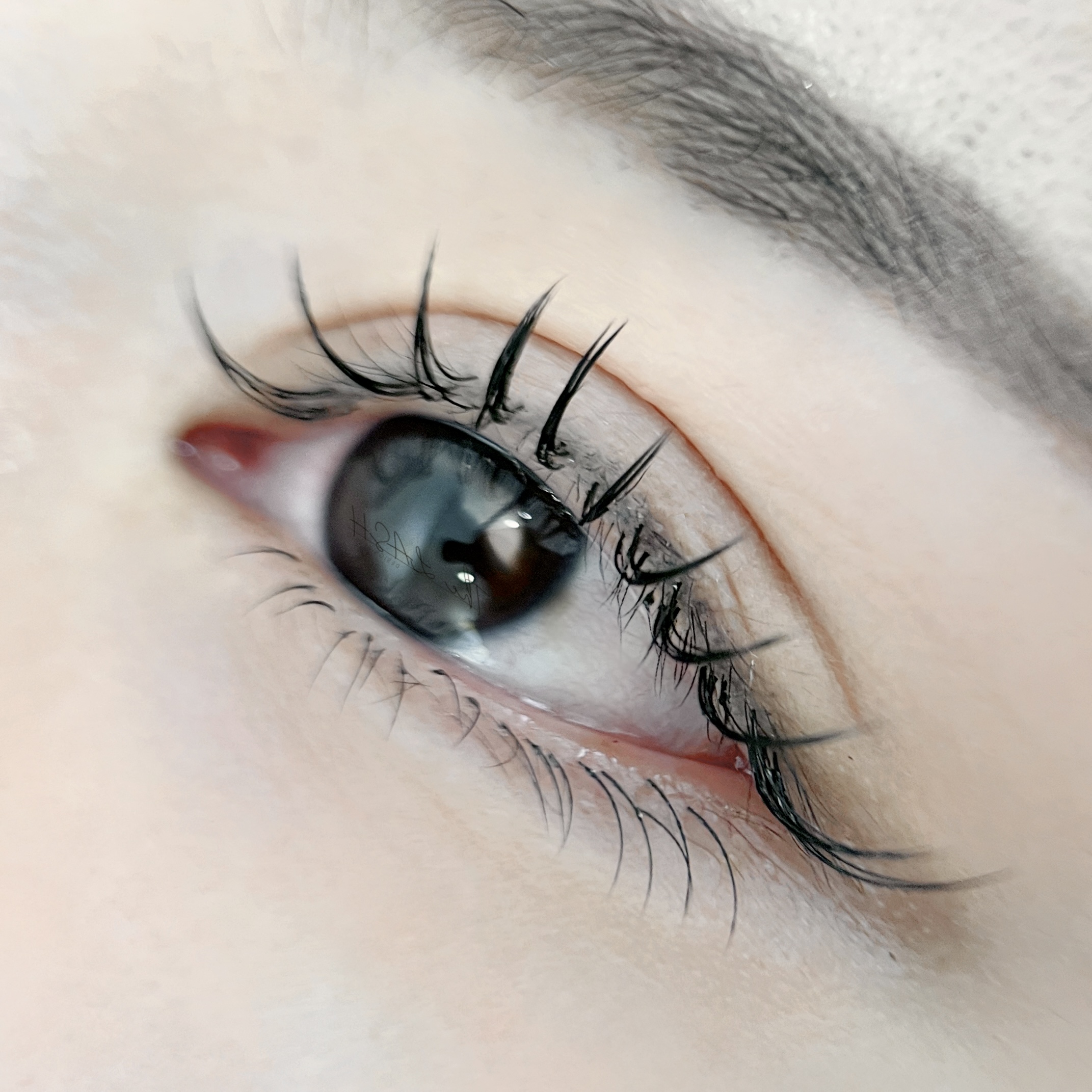 더래쉬디자인스튜디오 대표 이미지