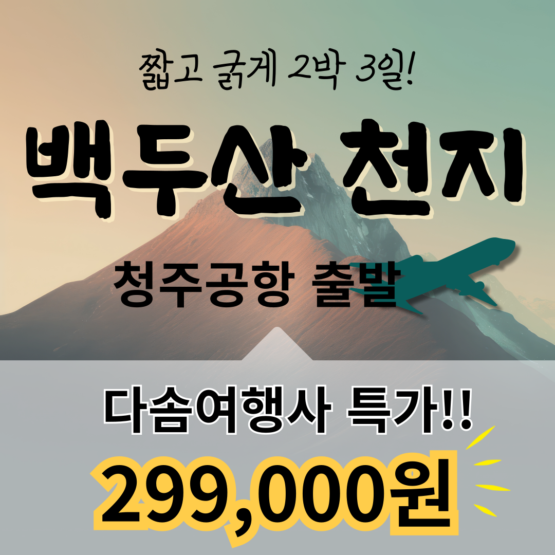 다솜여행사