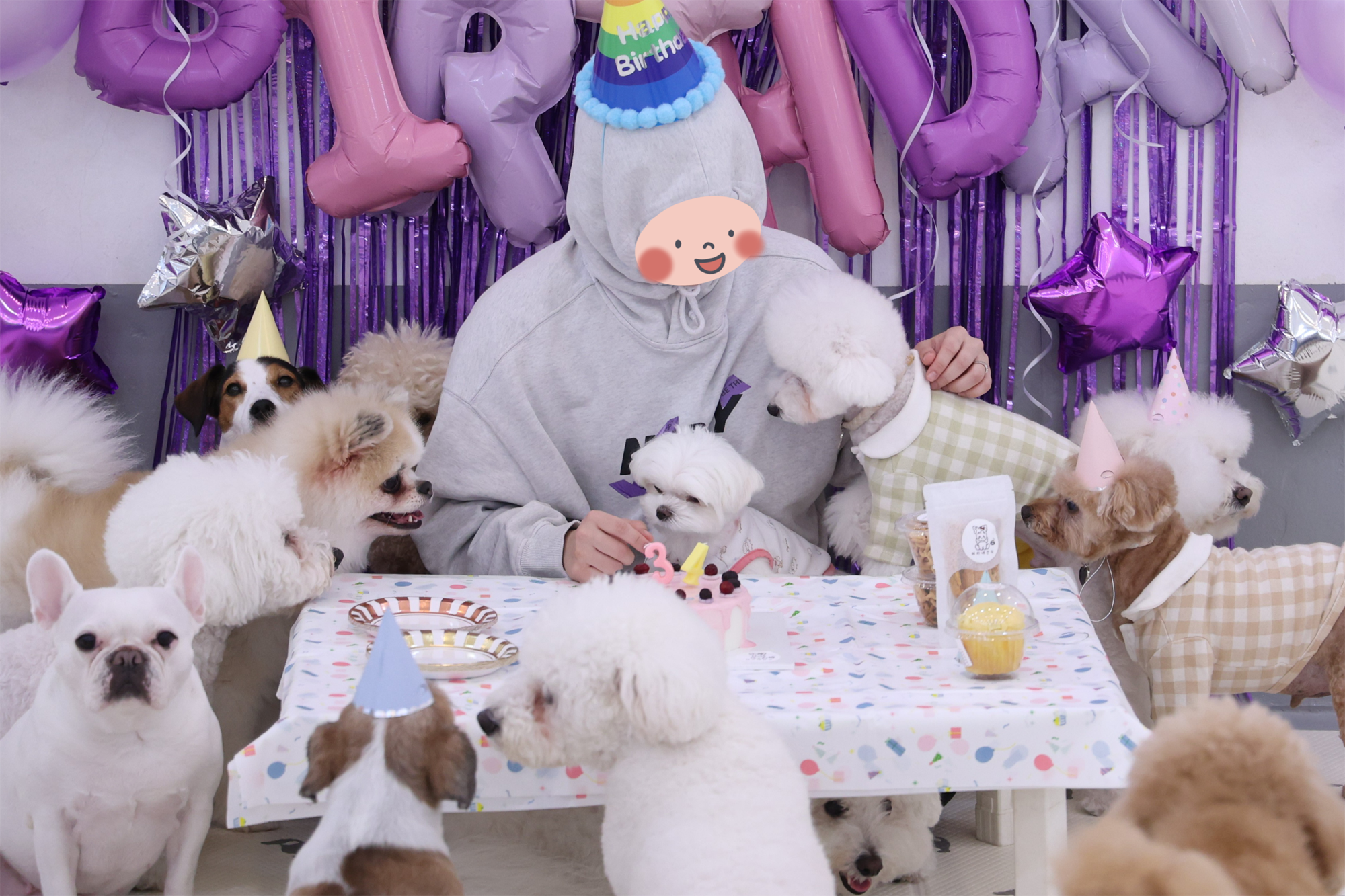 퍼피스프링 부천점