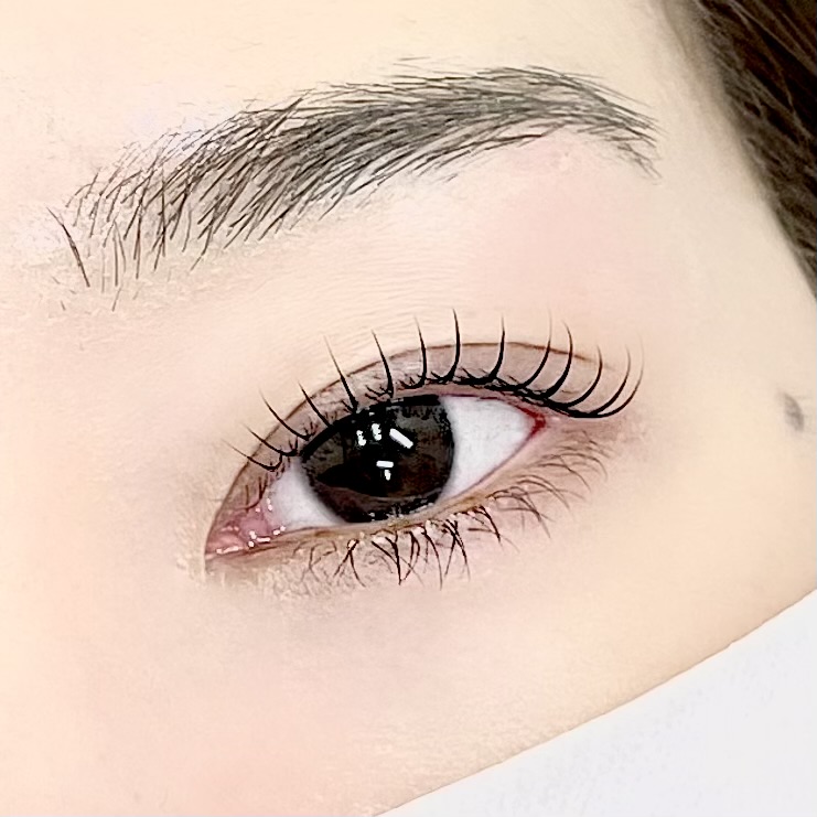 모니드 대표 이미지