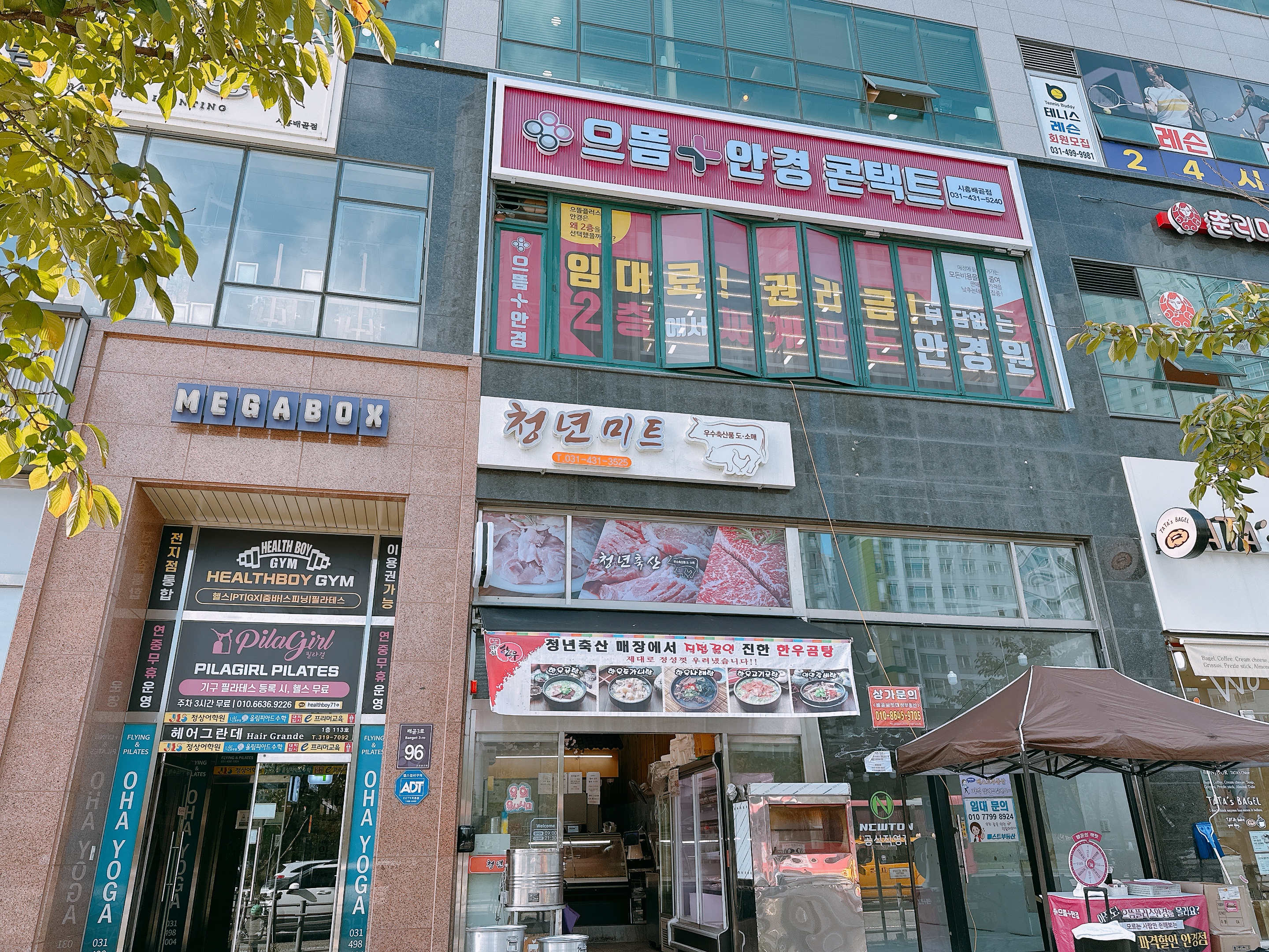 으뜸플러스안경 시화배곧점