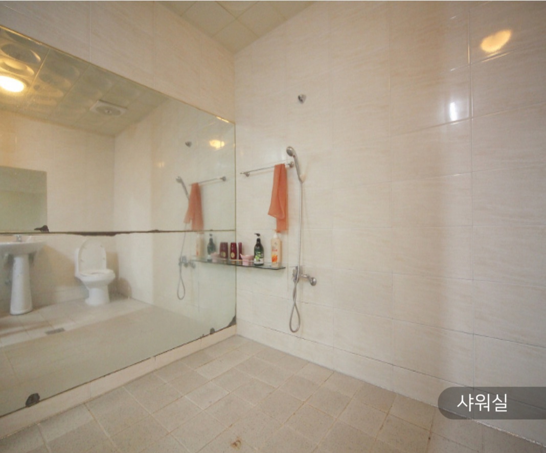 골드 photo 3