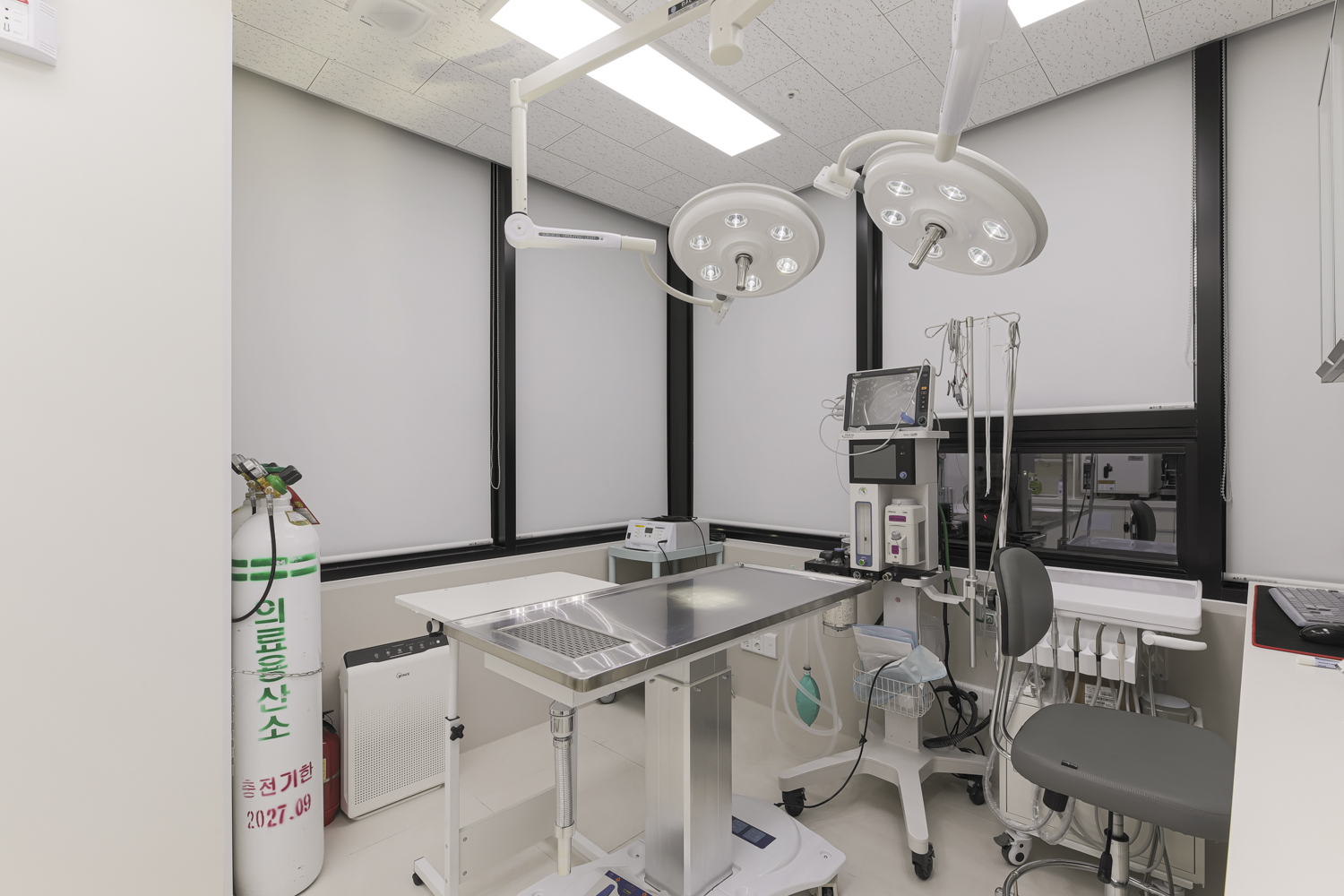 멍냥동물병원 대표 이미지