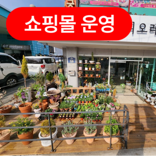 피오레