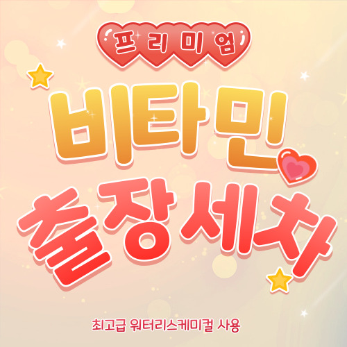 비타민출장세차