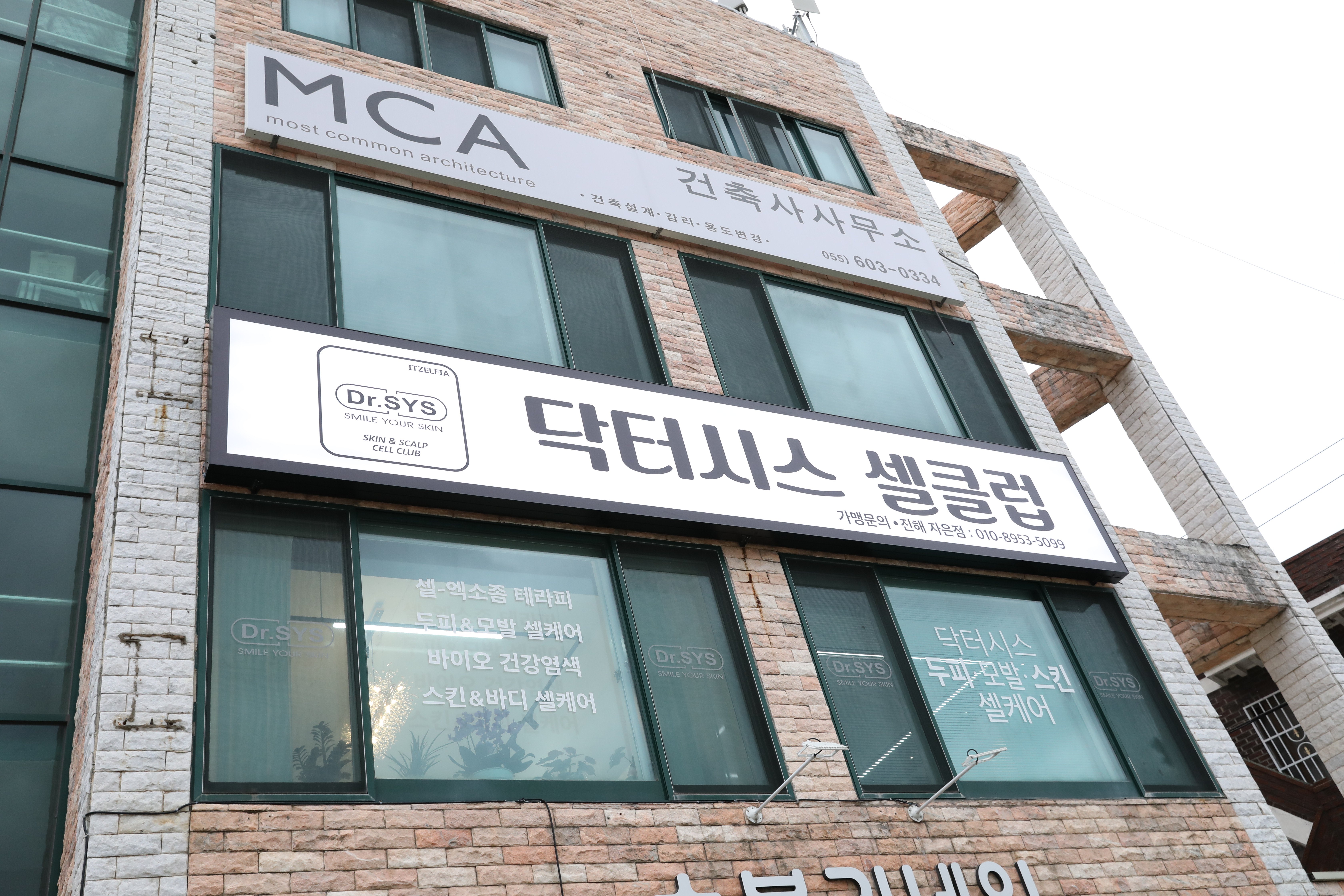 닥터시스셀클럽 자은점