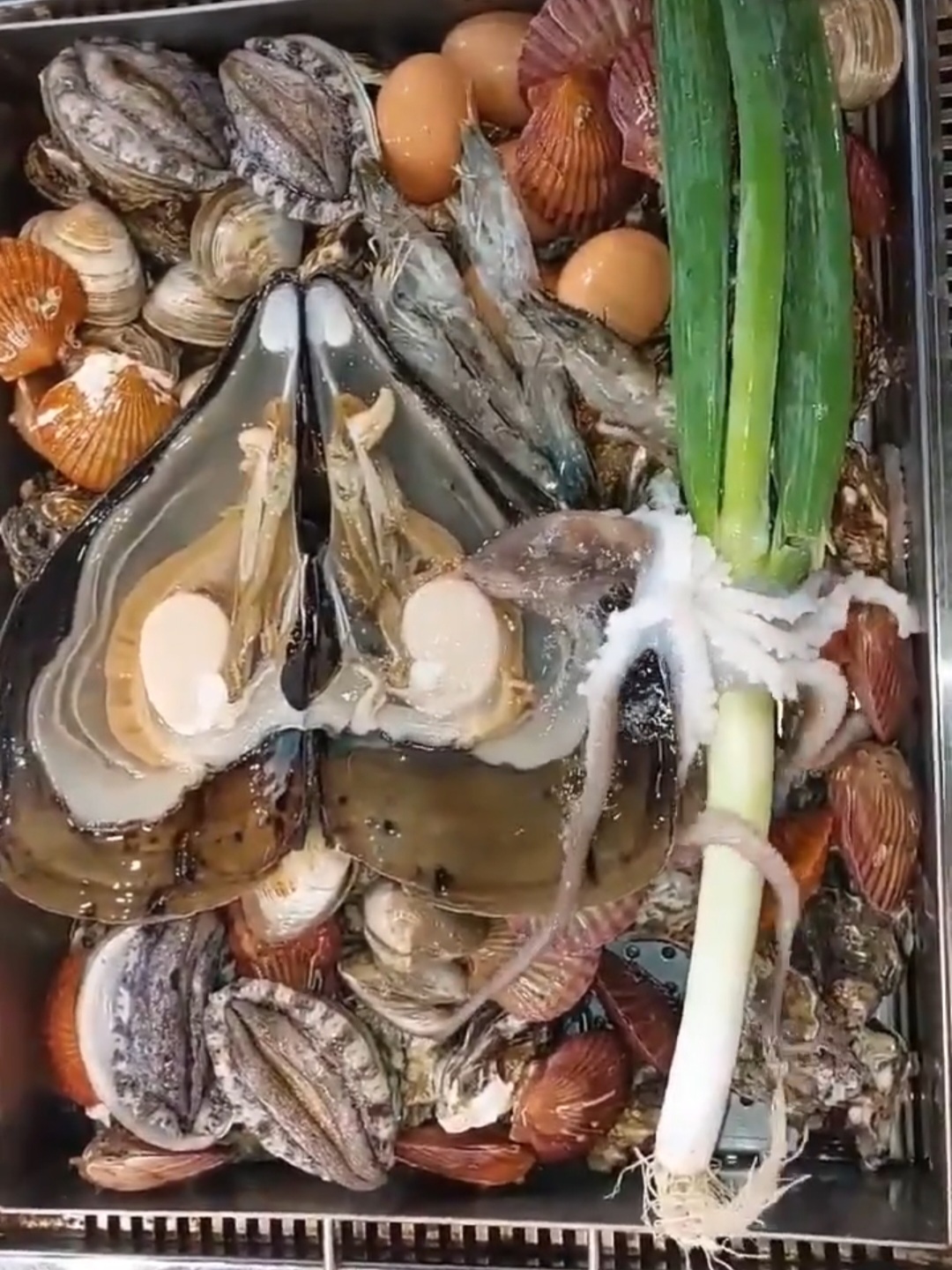 대포한마당횟집