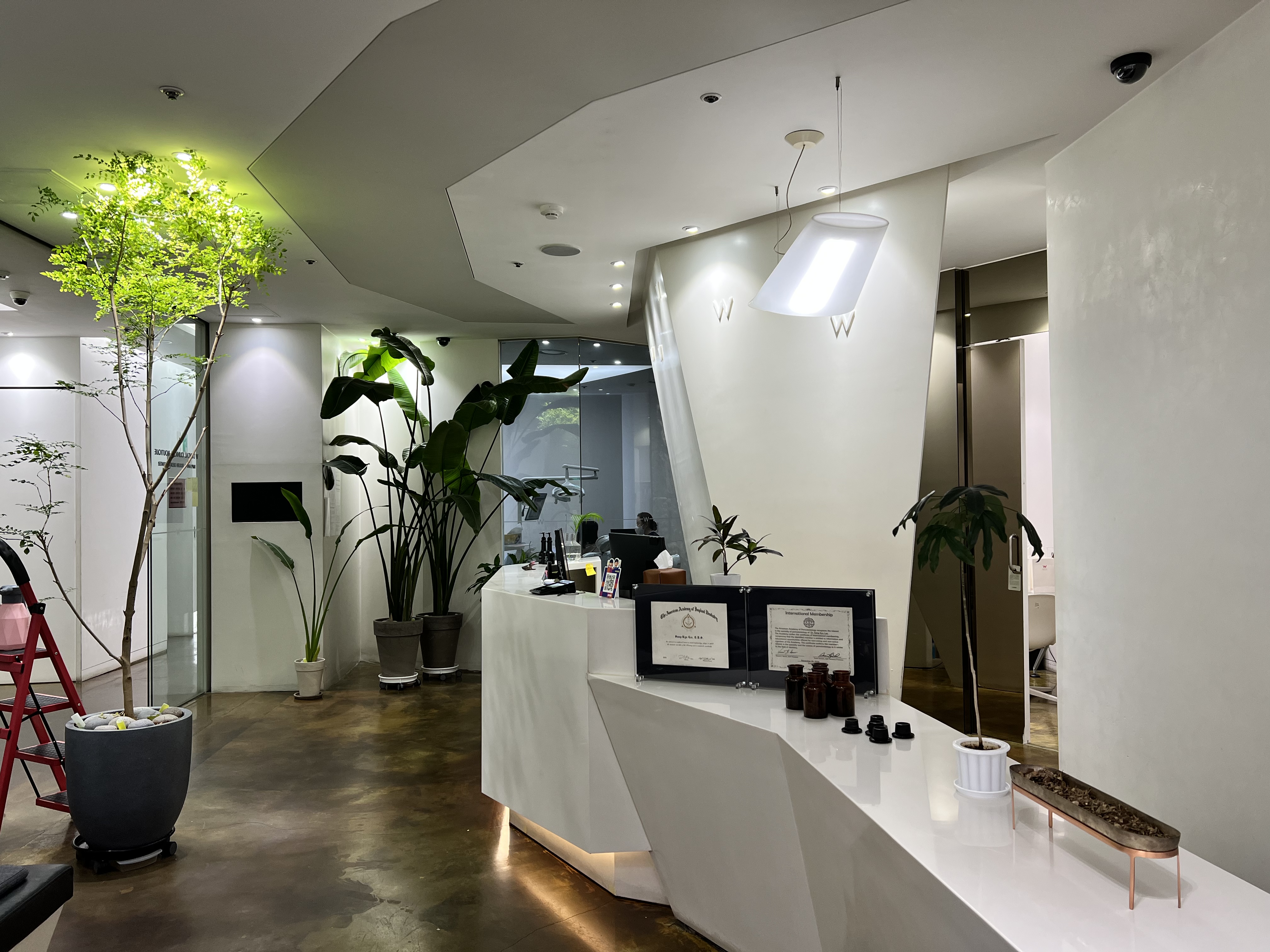 더블유치과의원 대표 이미지