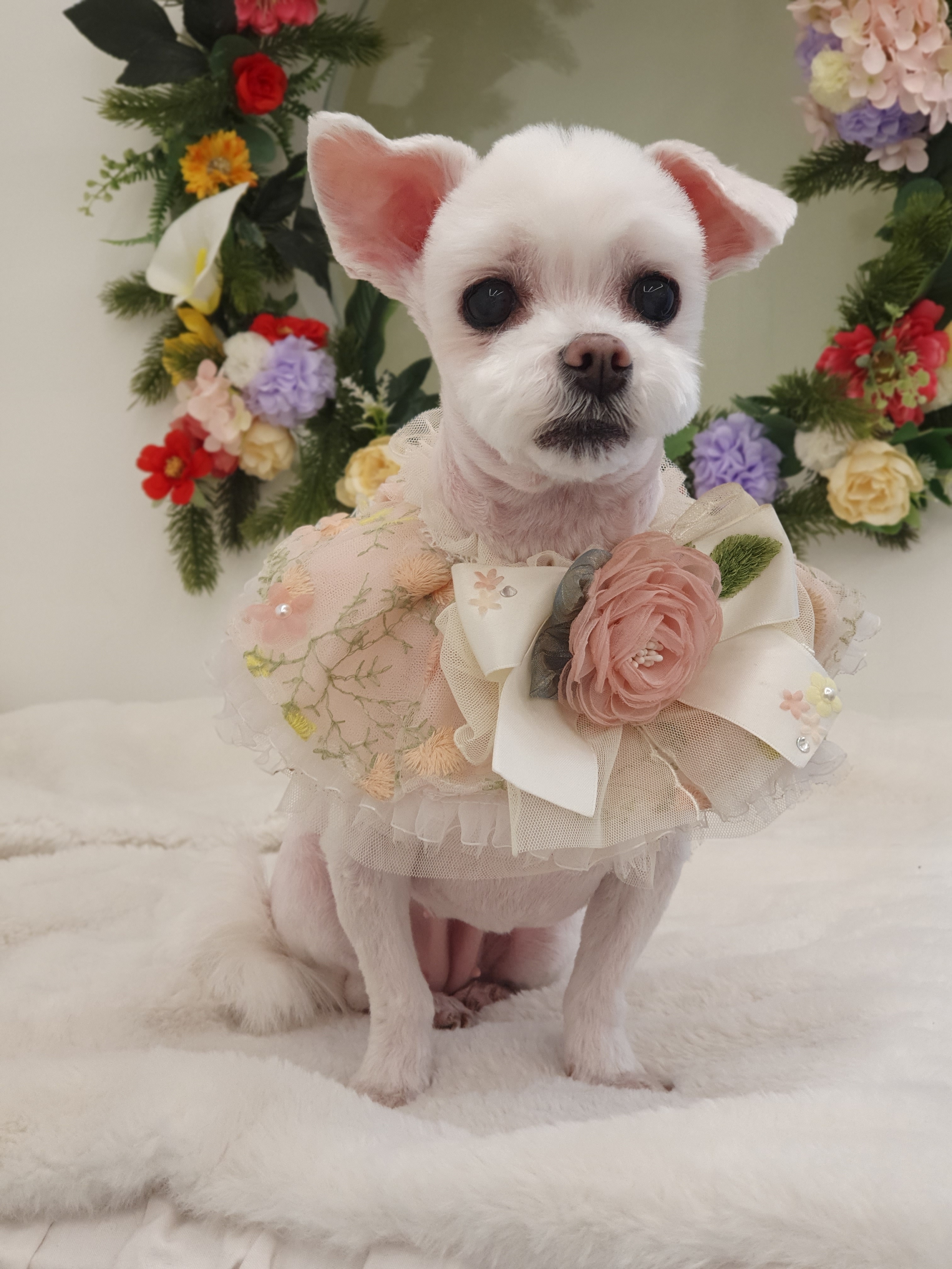 누구개요 대표 이미지