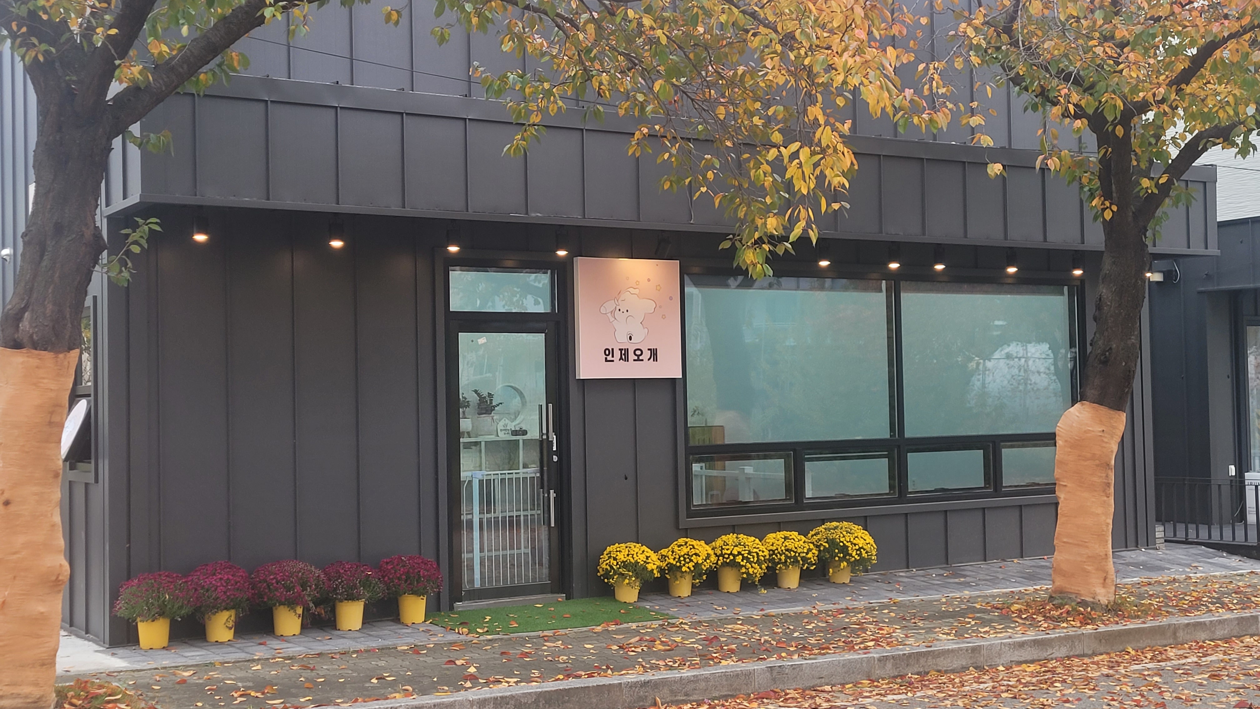 인제오개 대표 이미지