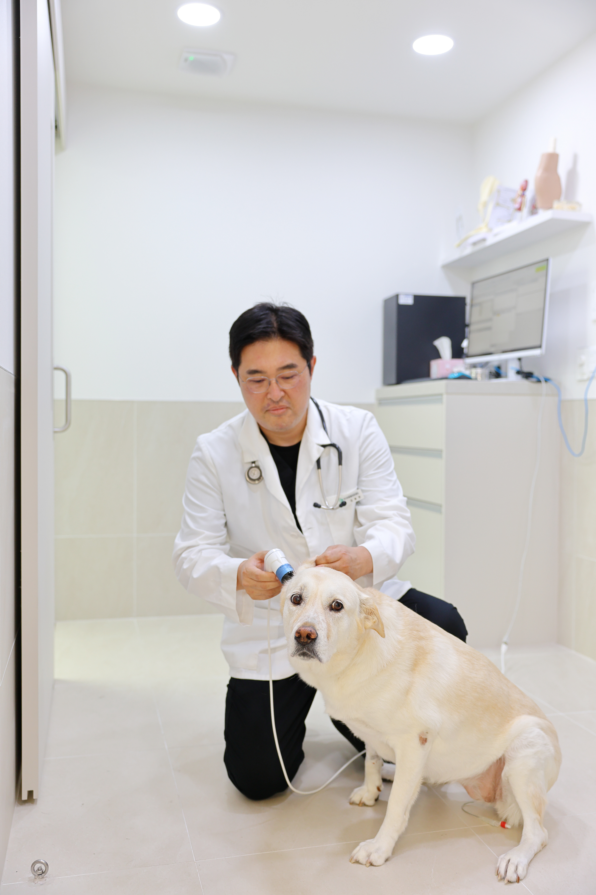 가디언동물병원 대표 이미지