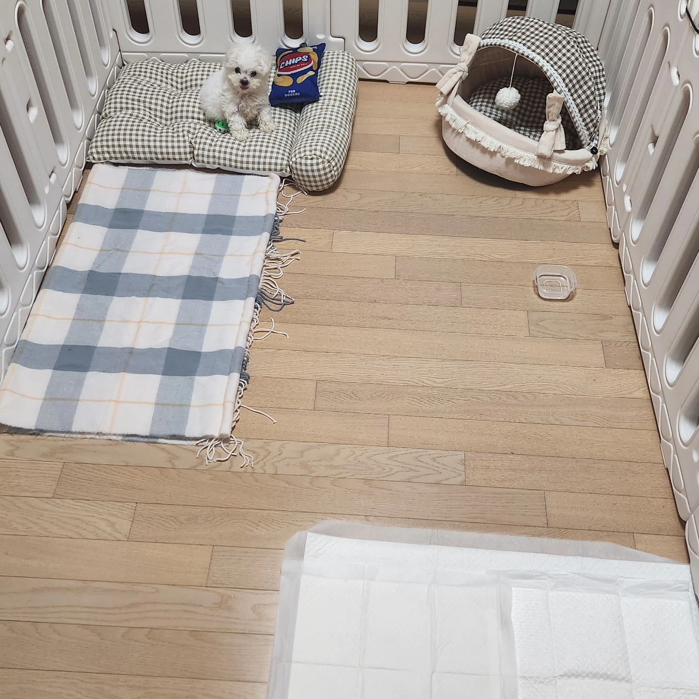 상추네펫시터 대표 이미지