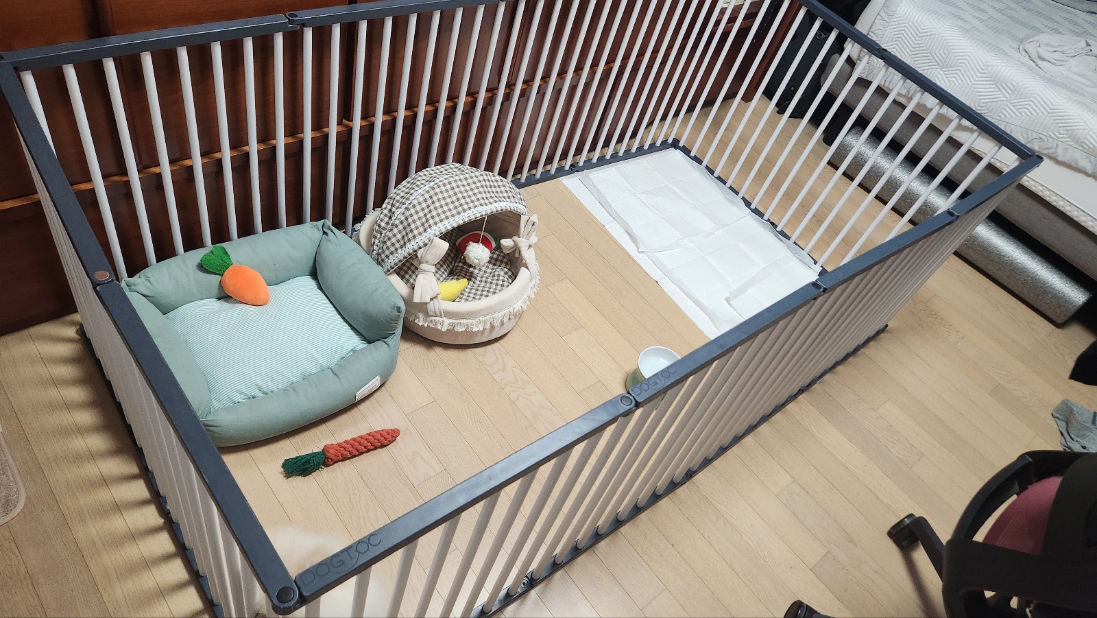 상추네펫시터 대표 이미지