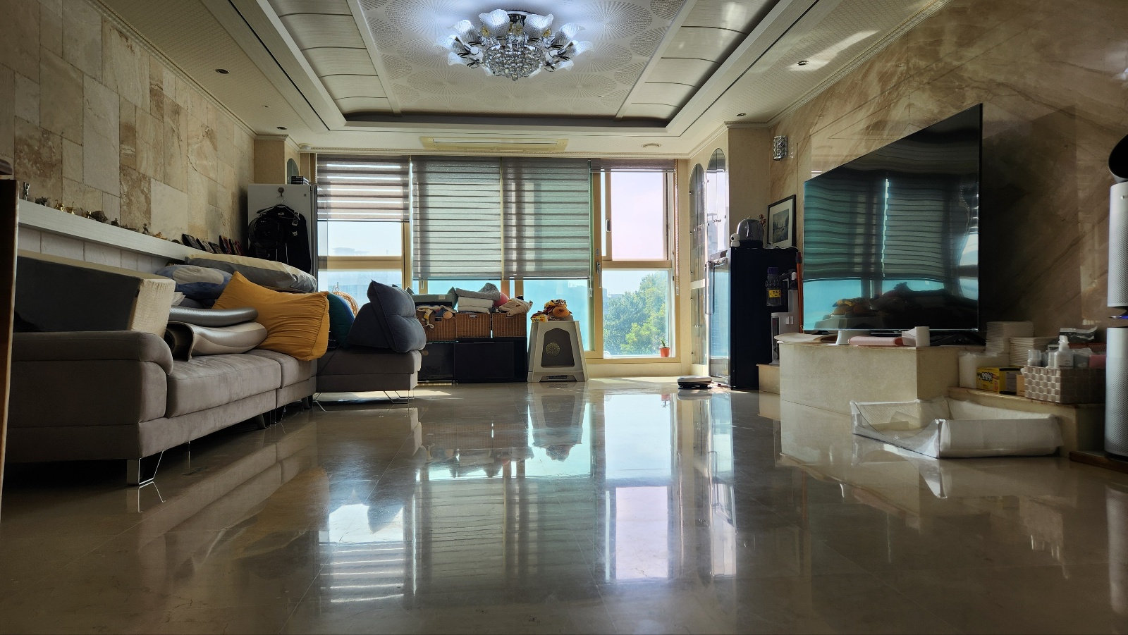 상추네펫시터 대표 이미지