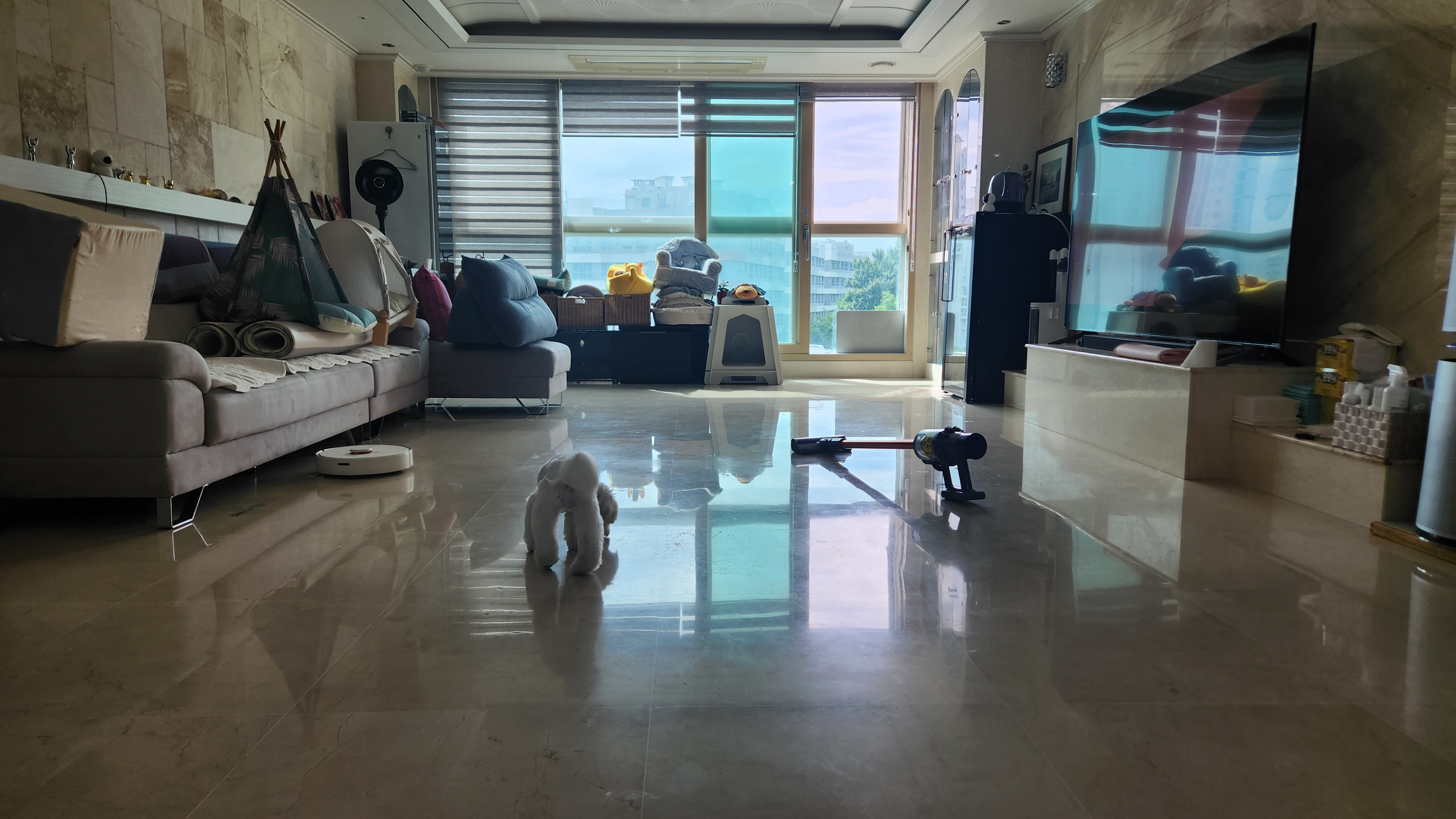 상추네펫시터