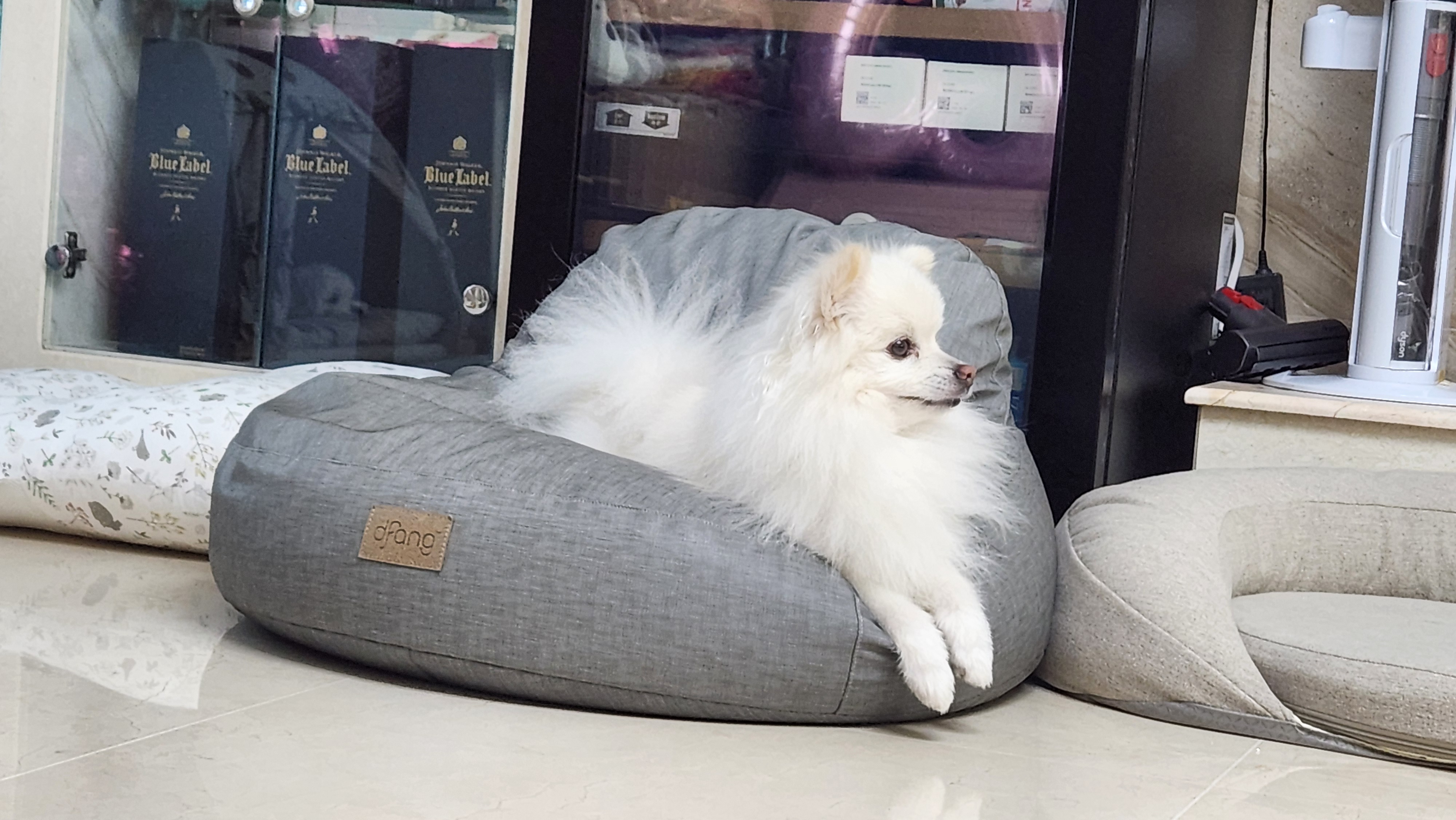 상추네펫시터