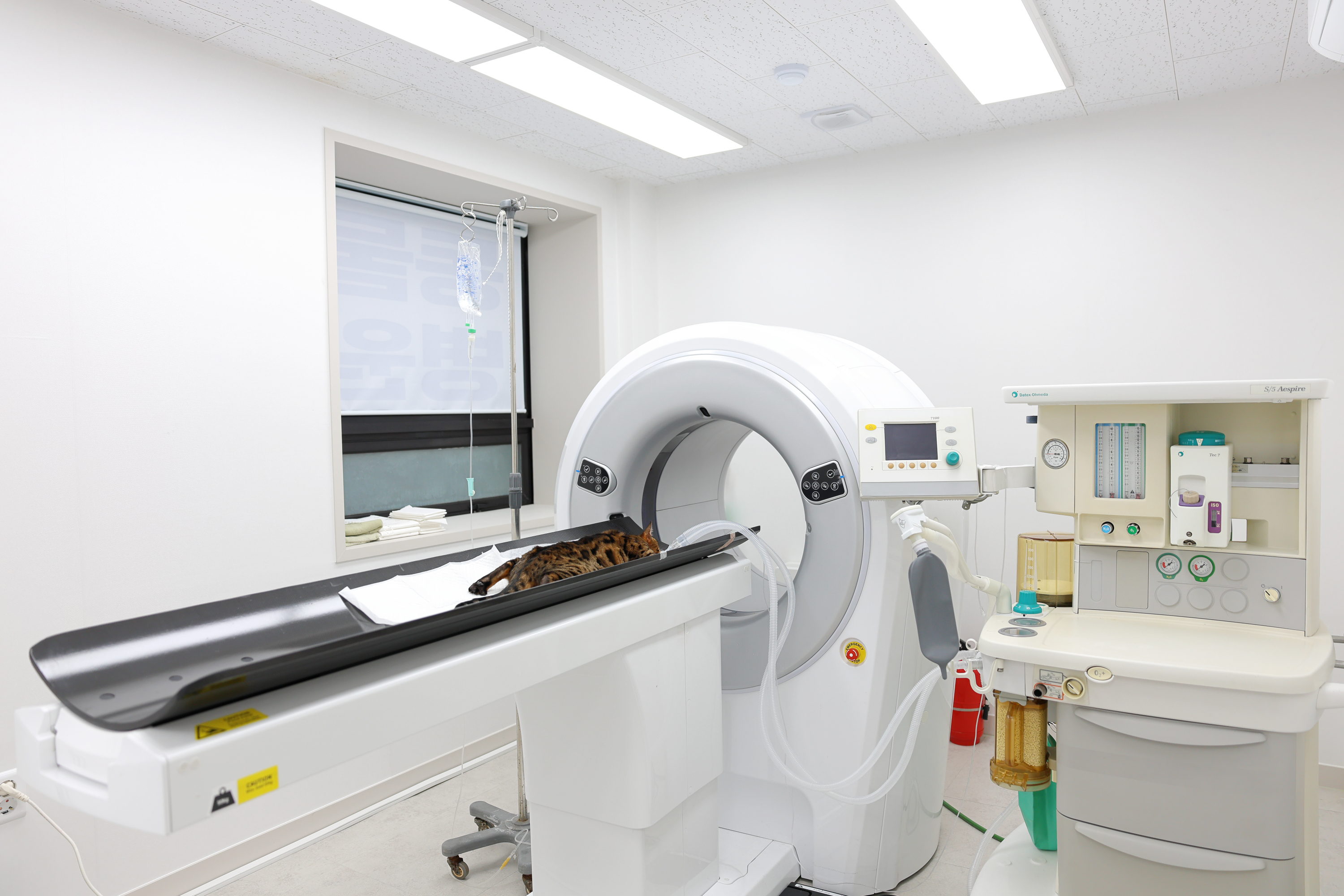 가디언 동물병원 대표 이미지