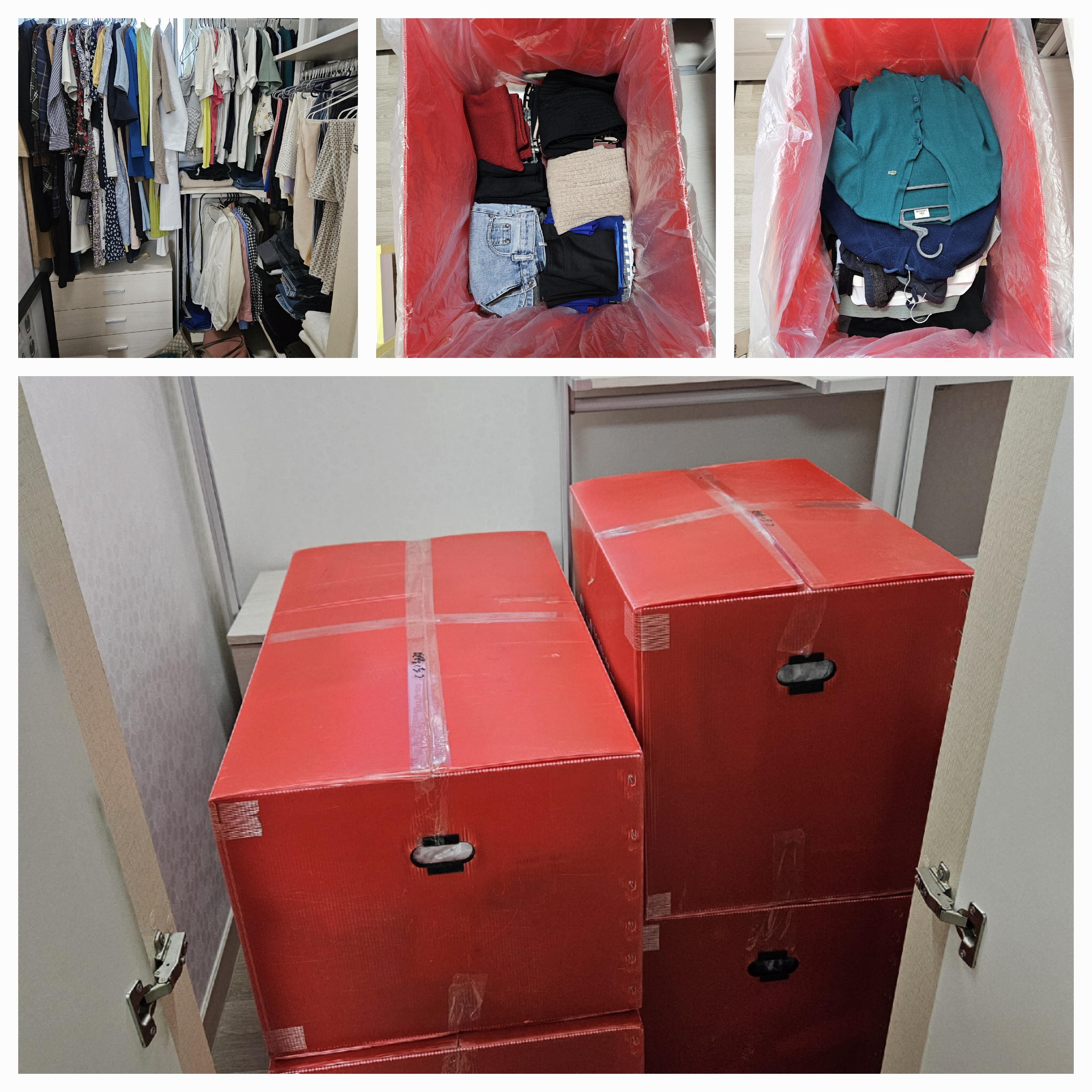 우리집원룸이사 대표 이미지