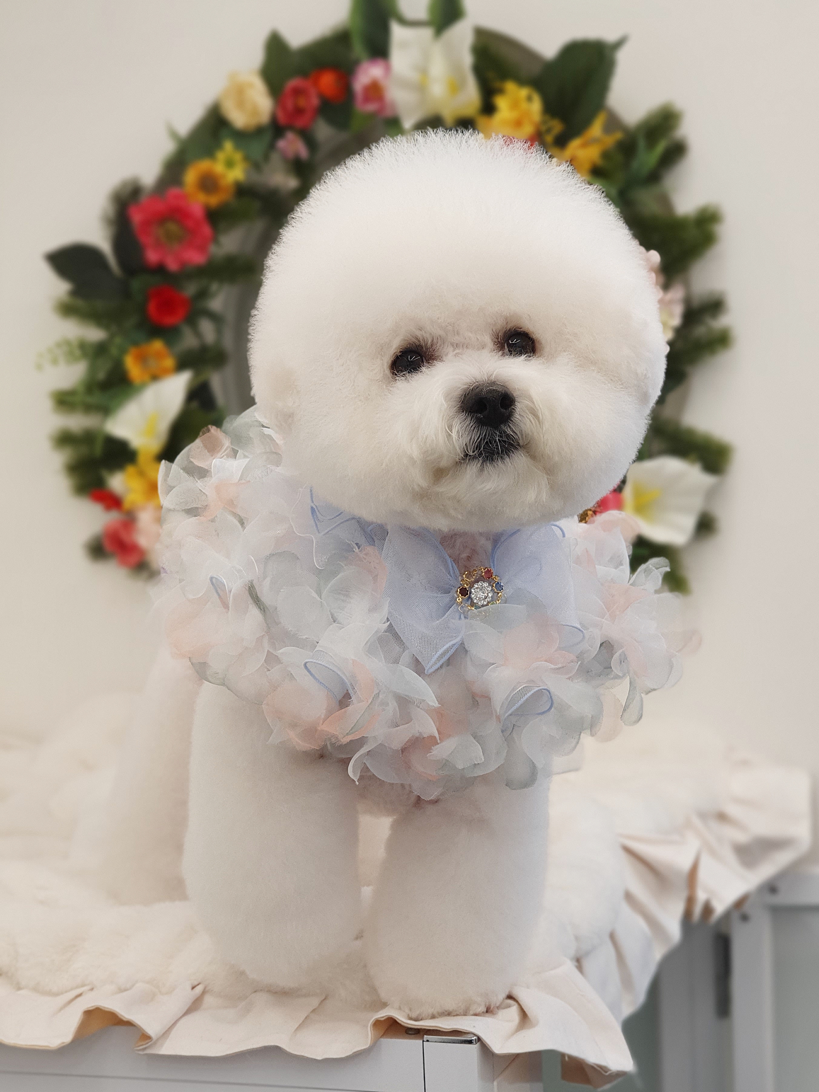누구개요 대표 이미지
