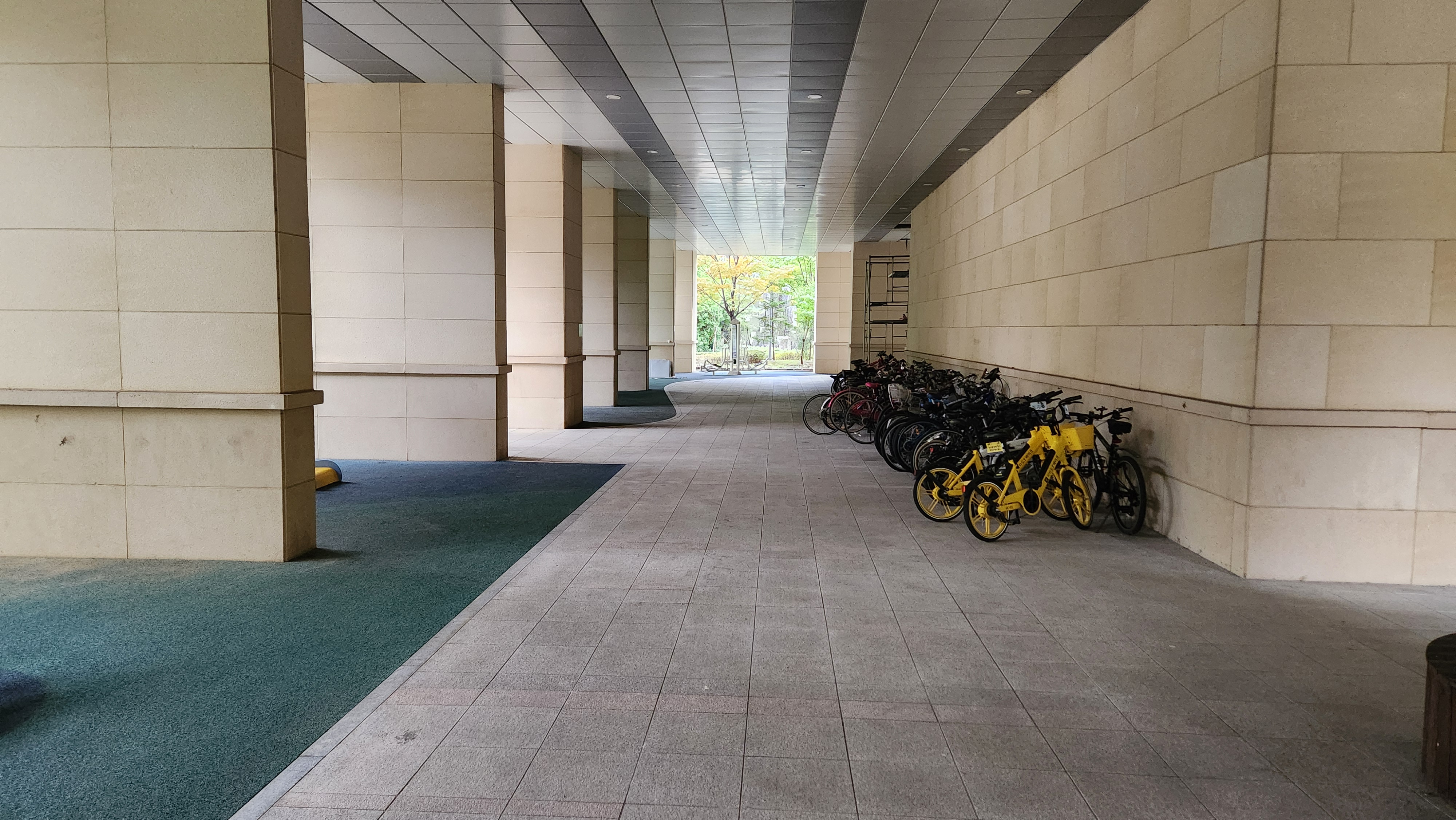 상추네펫시터 대표 이미지