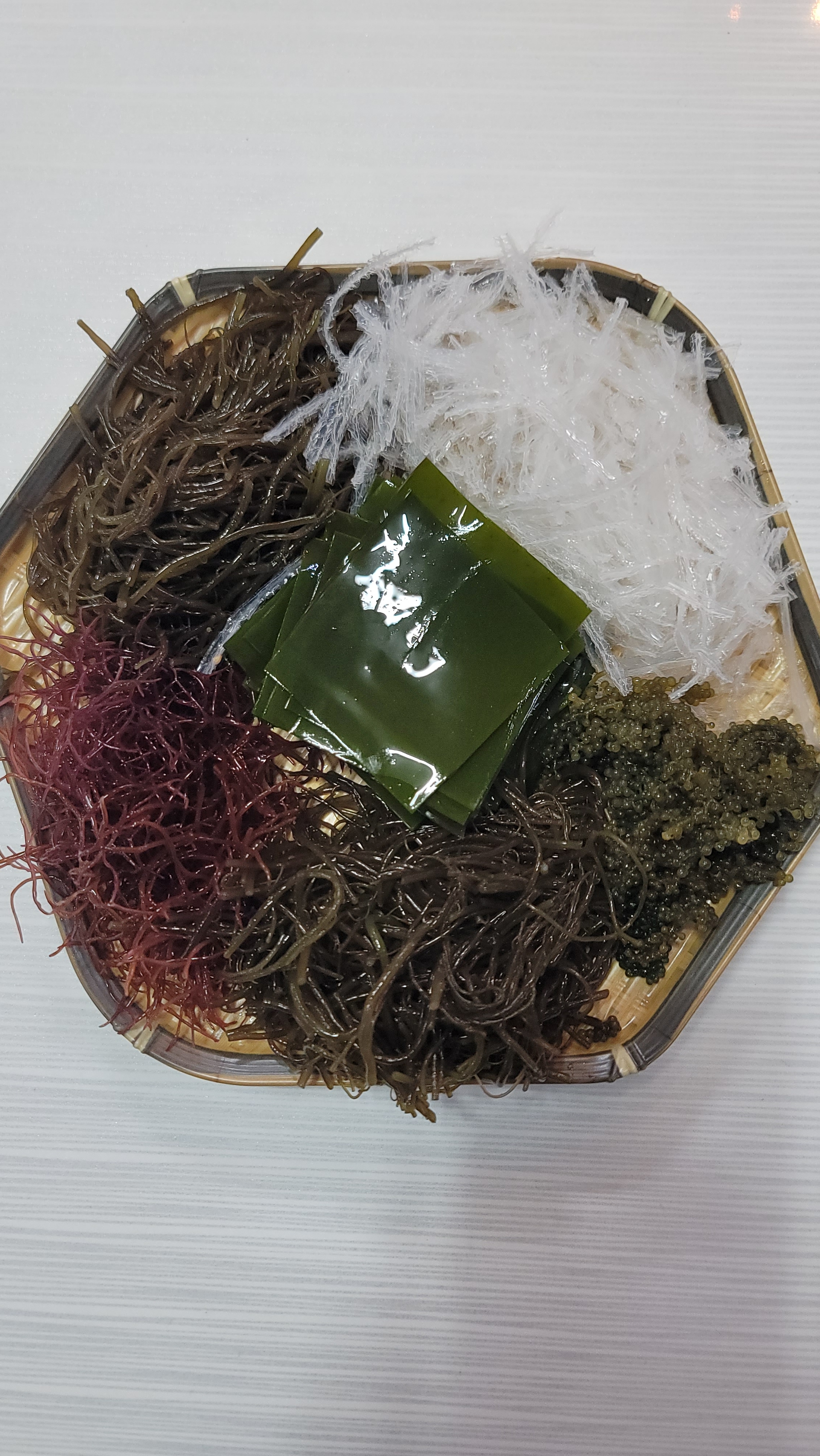 장수백세가
