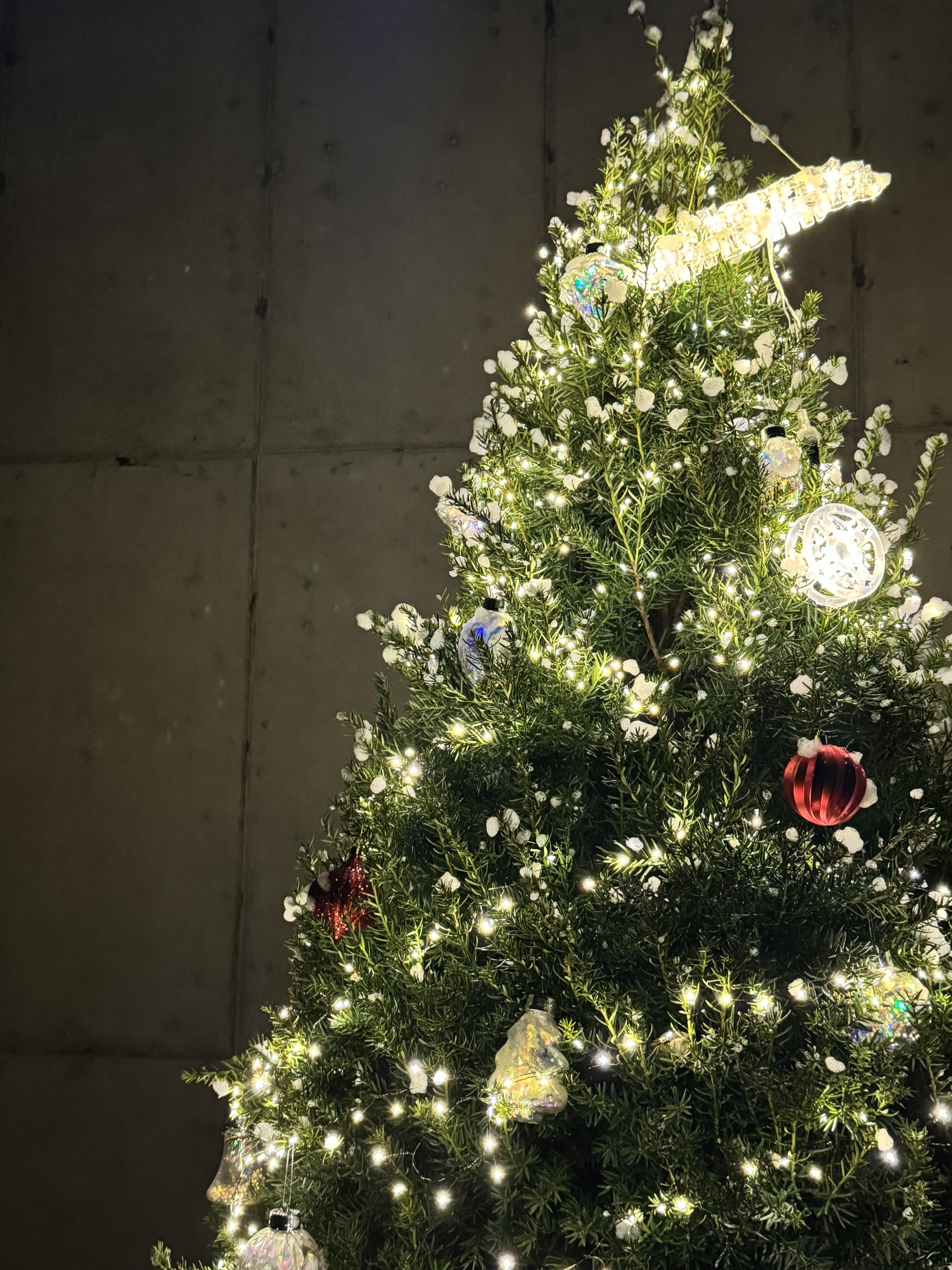 카페 랜드스케이프