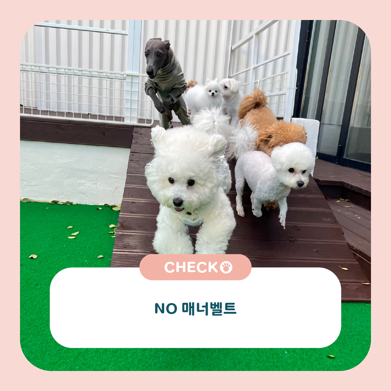 컴피 포항점 대표 이미지