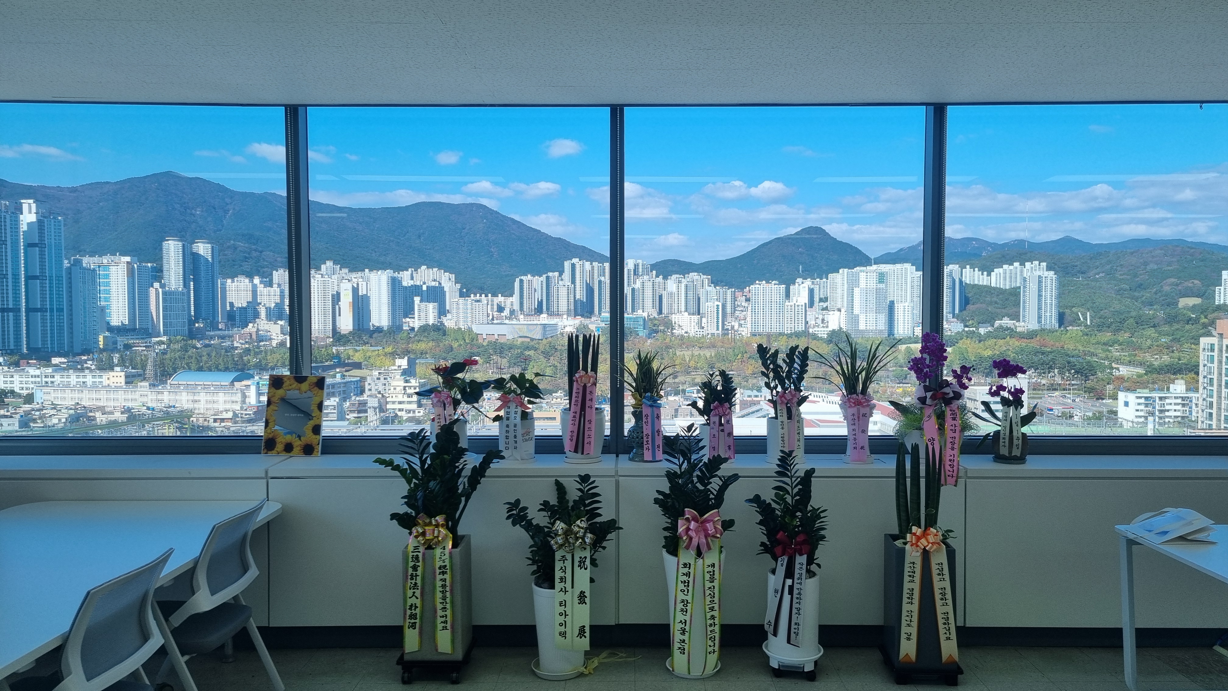 회계법인 창천 부산지점