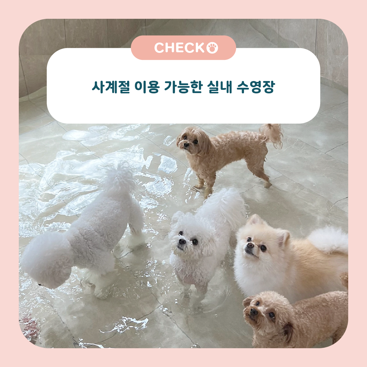 컴피 포항점 대표 이미지