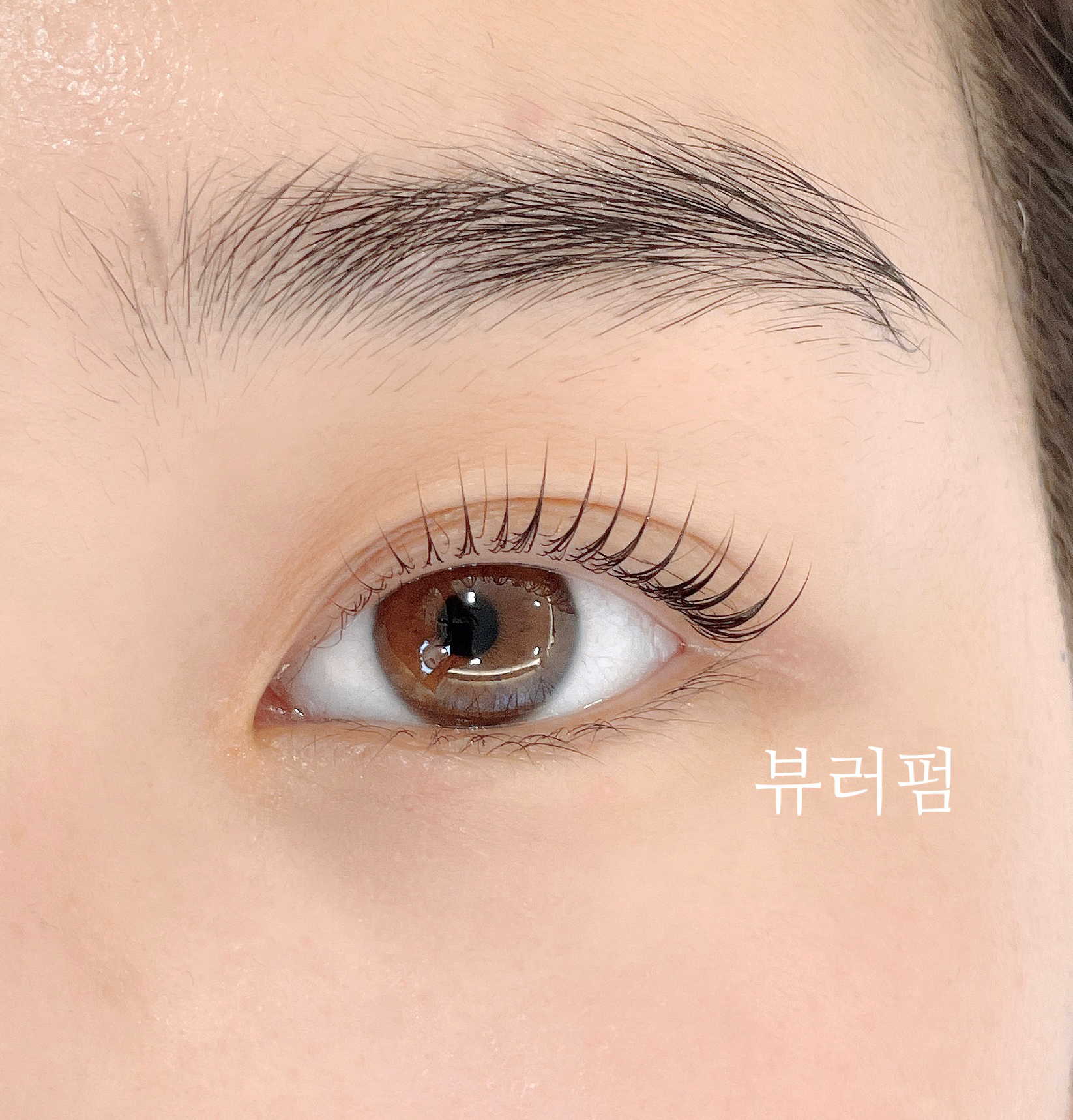 벨뷰티