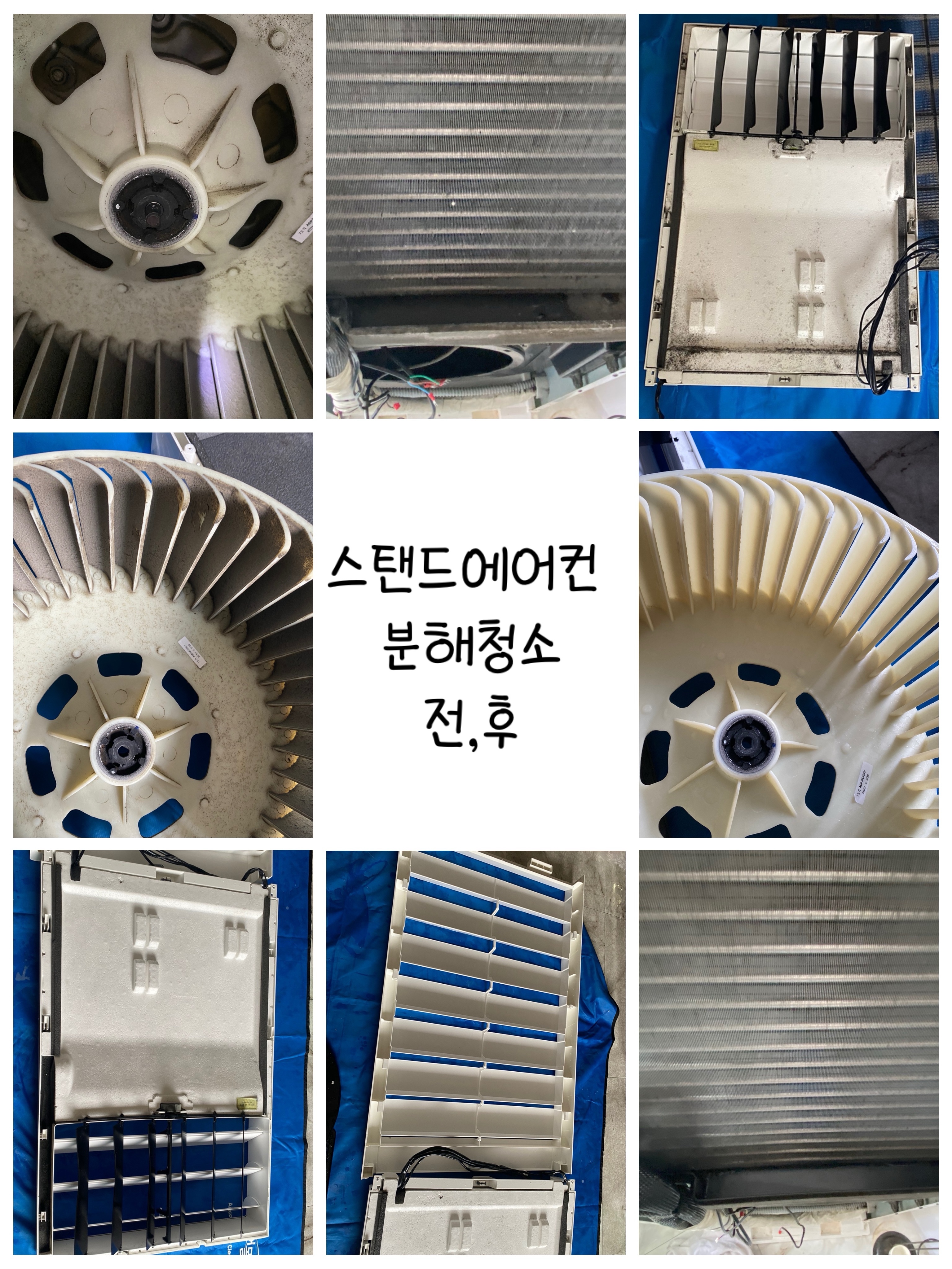 달빛클린