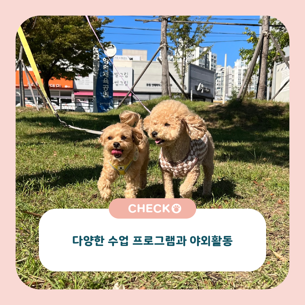 컴피 포항점 대표 이미지