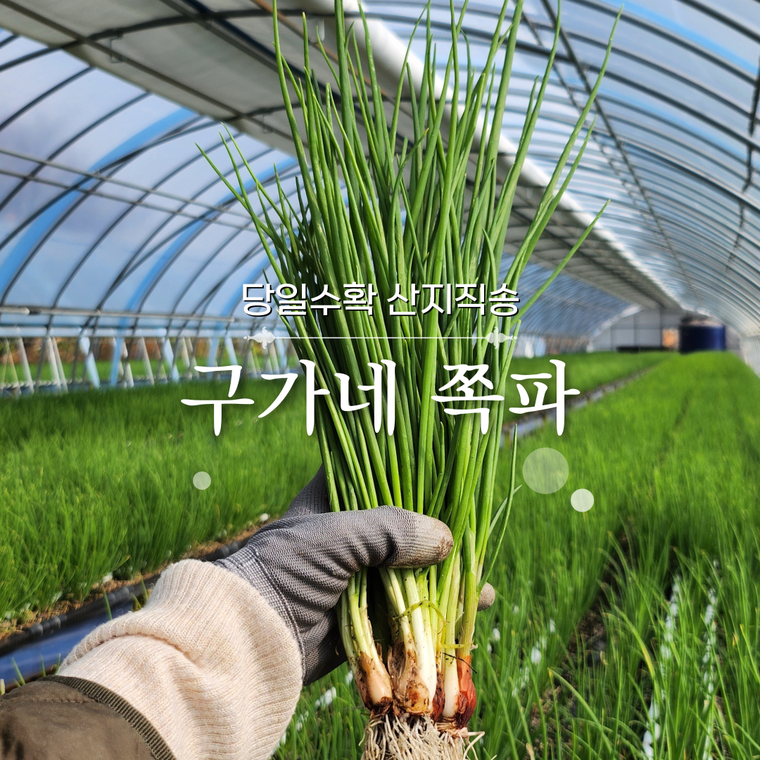 구가네 농장