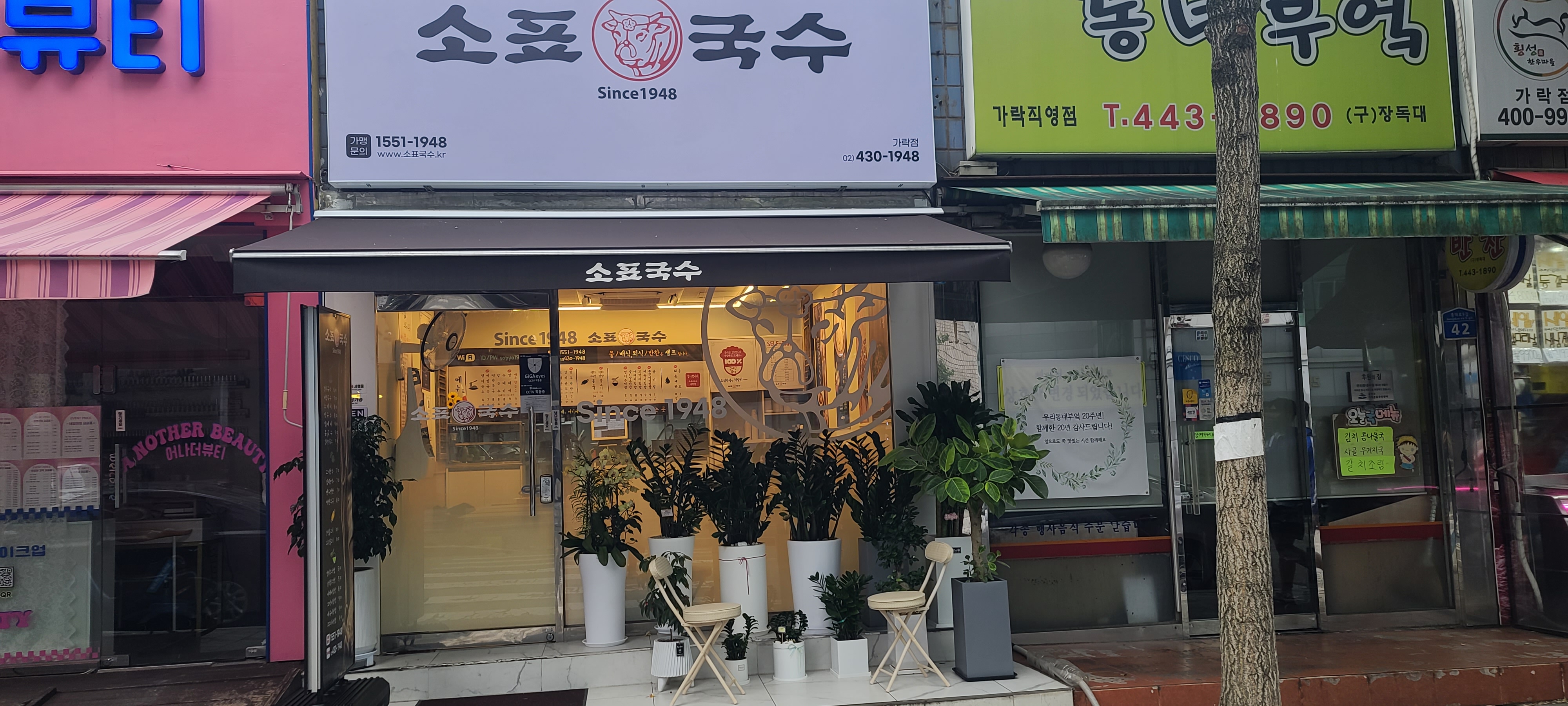 소표국수 가락점