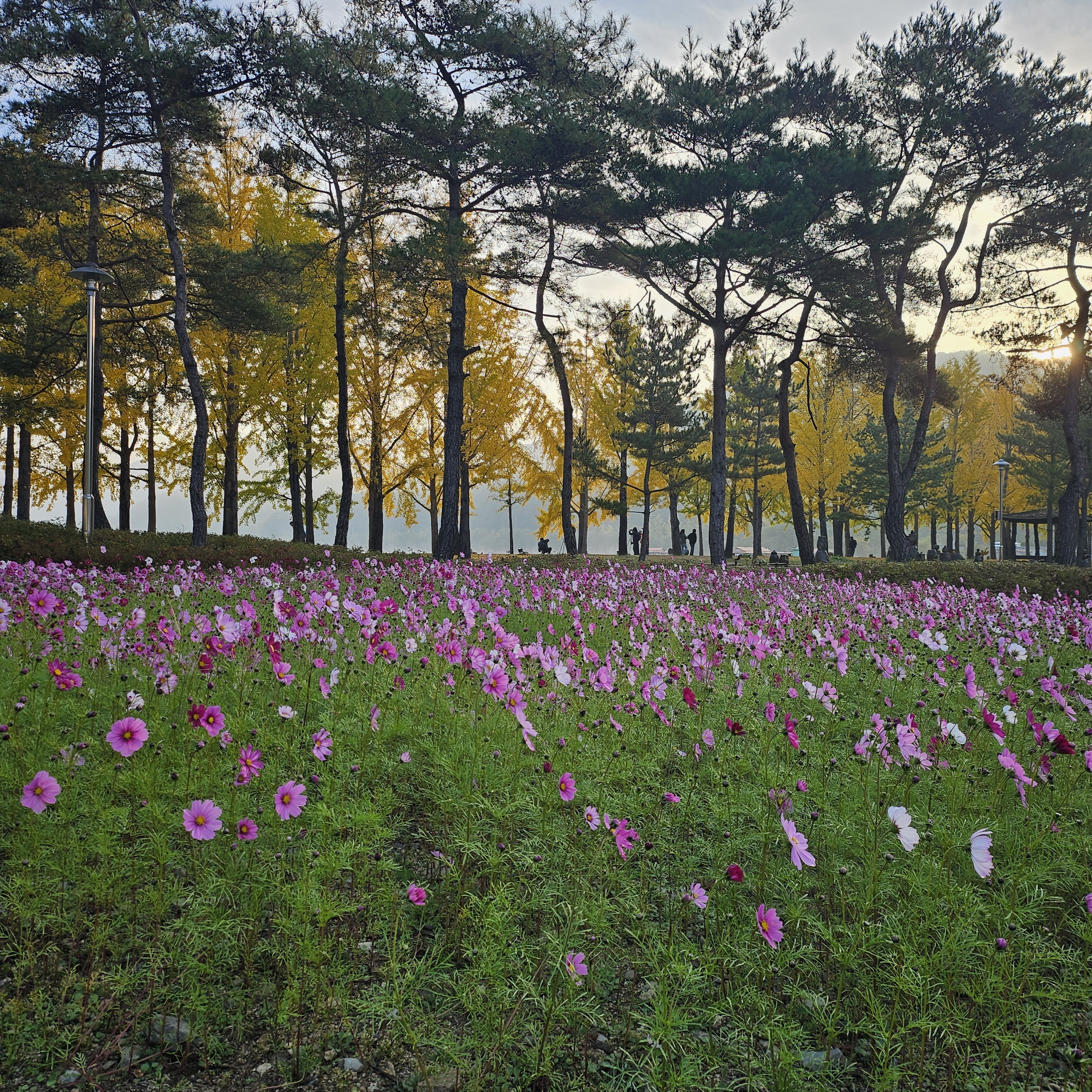 카페산책