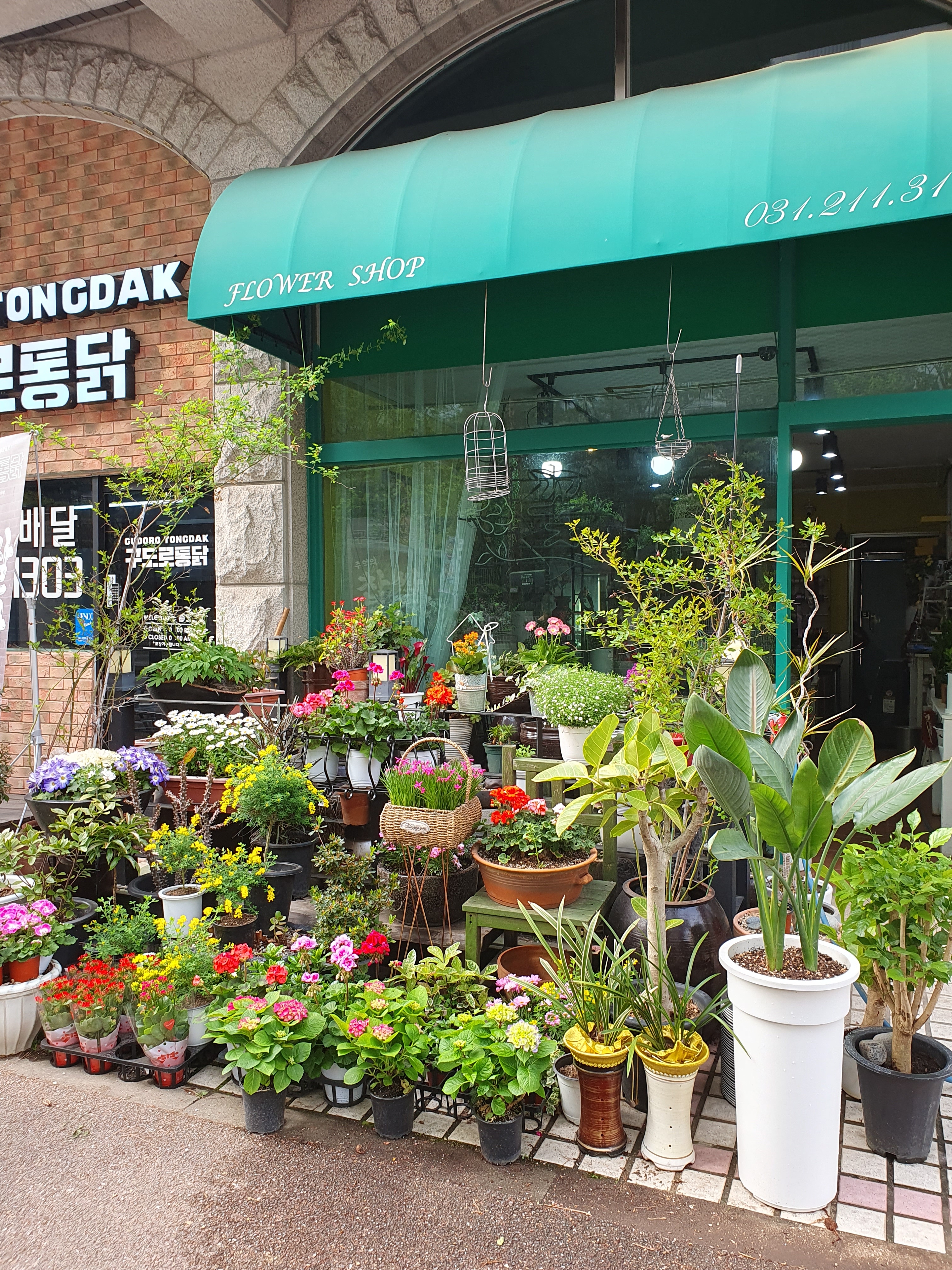 중앙플라워