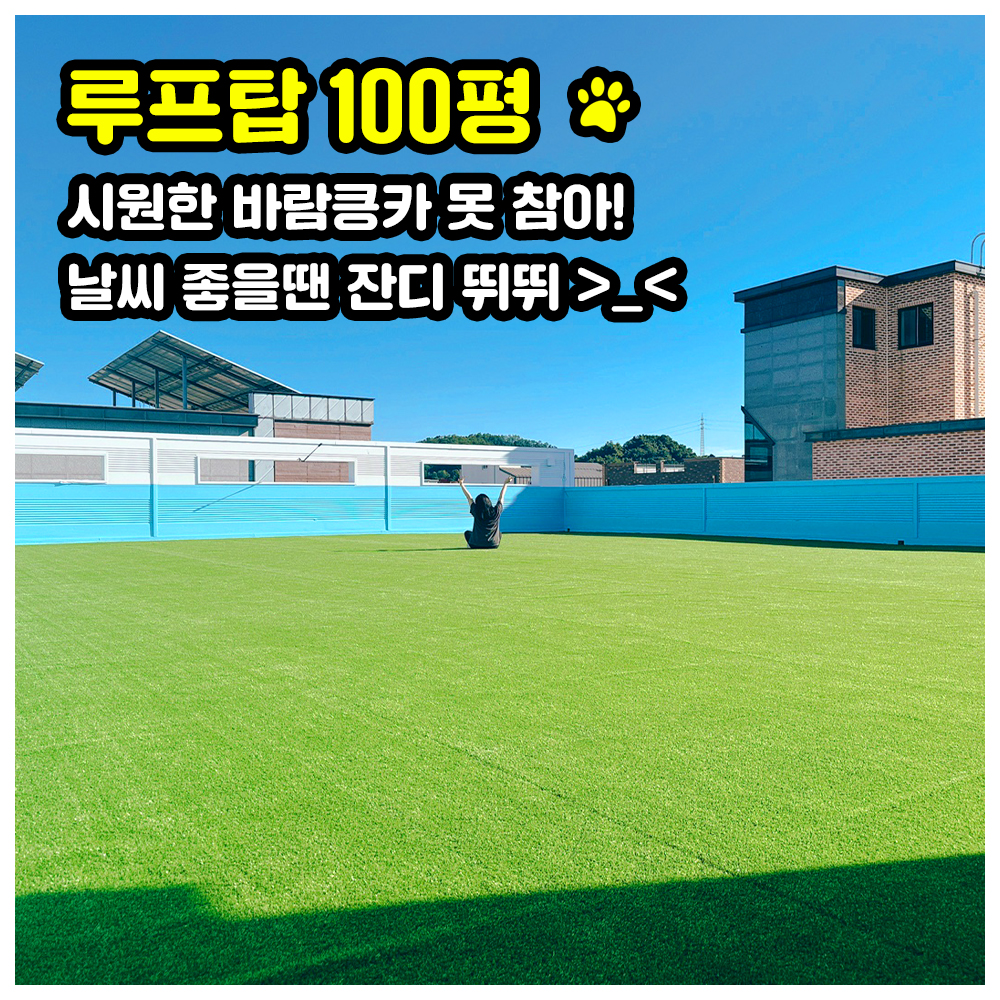 하랑이랑애견카페 2