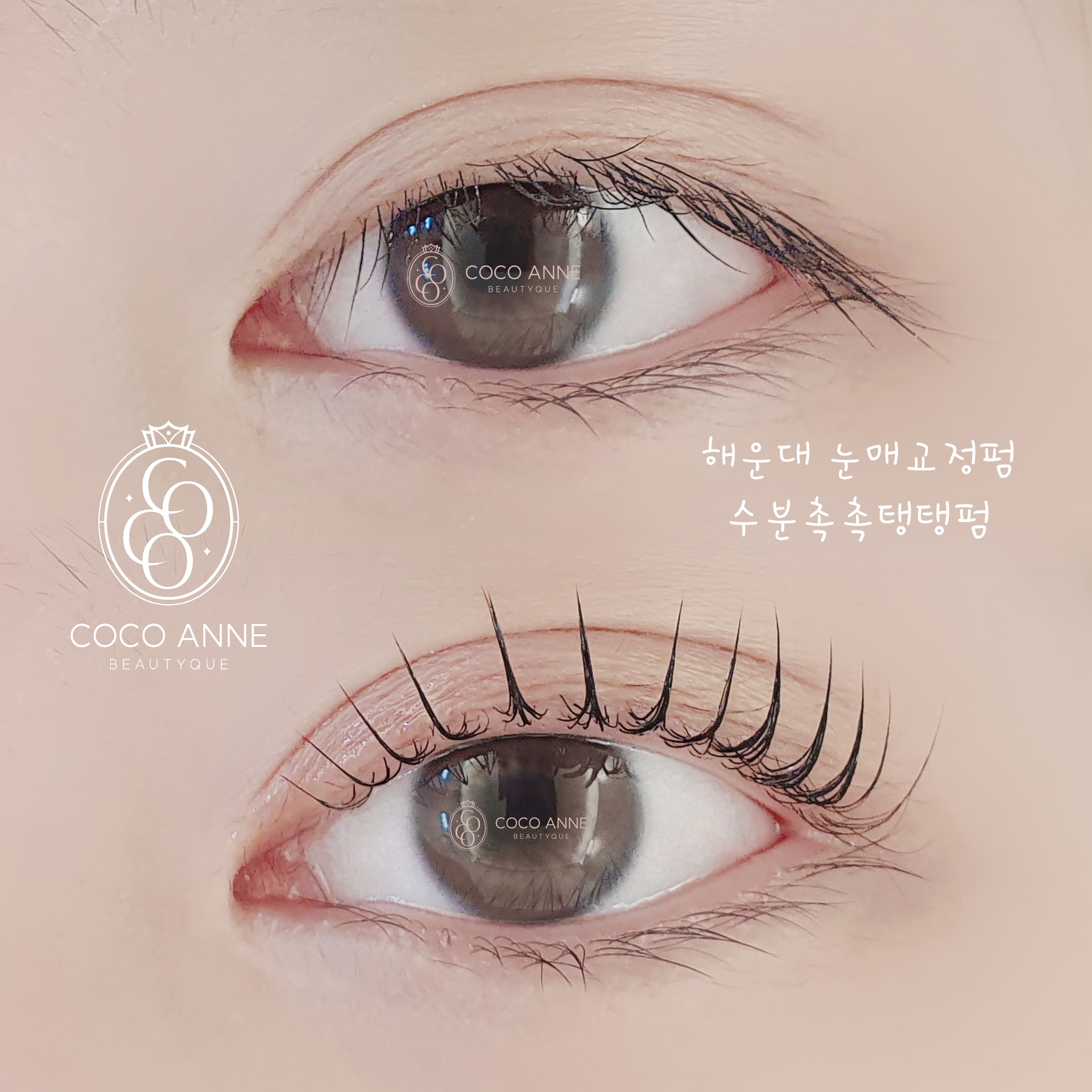 코코앤뷰티 속눈썹펌