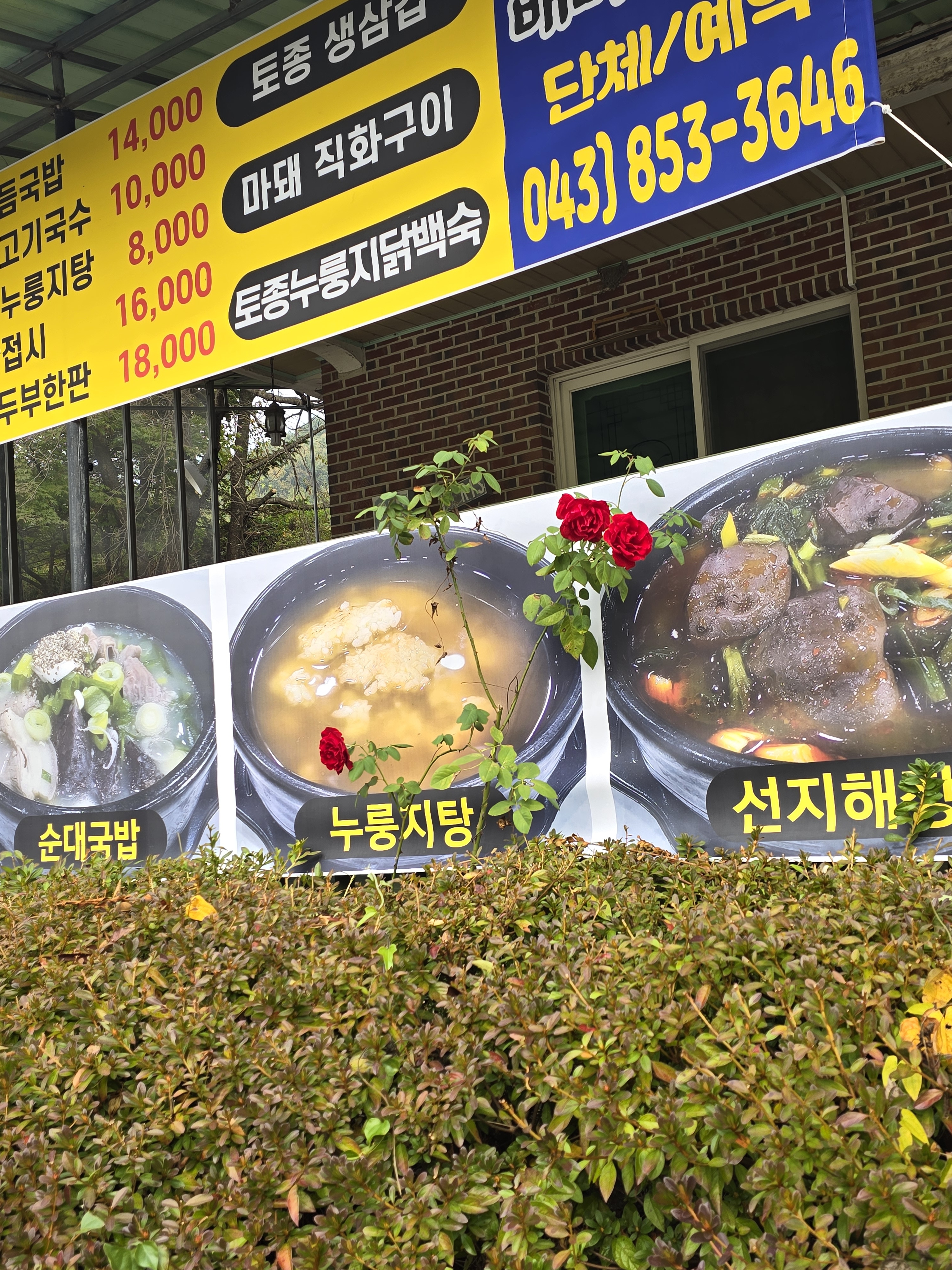 배나무 명가