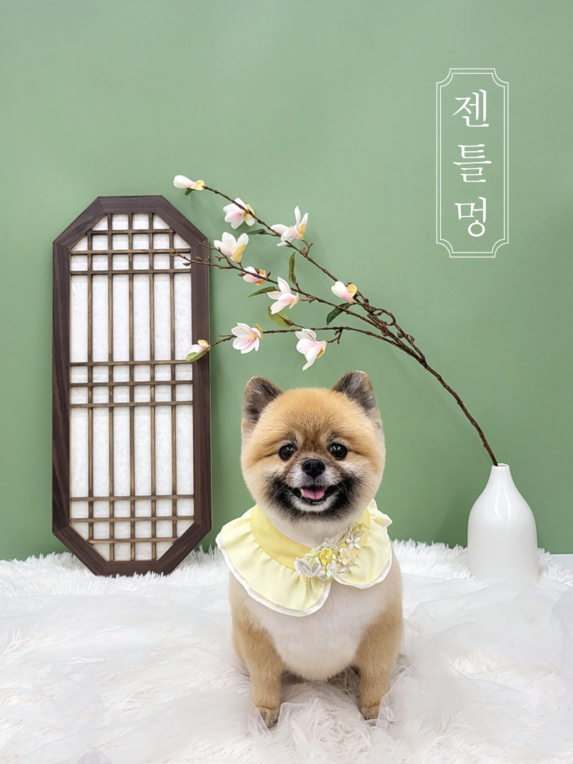 젠틀멍멍 2